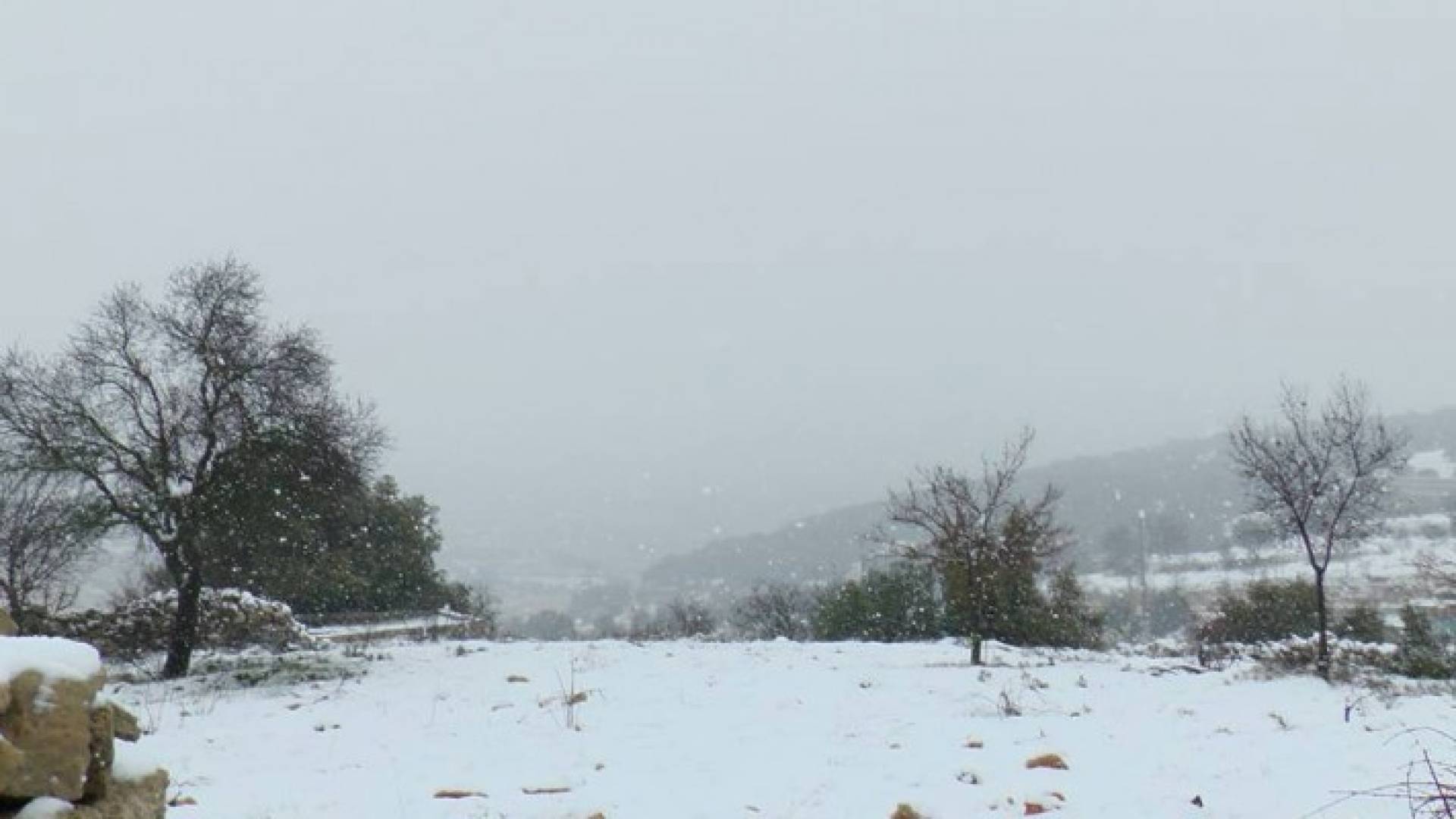 تساقط الثلوج في جرش 