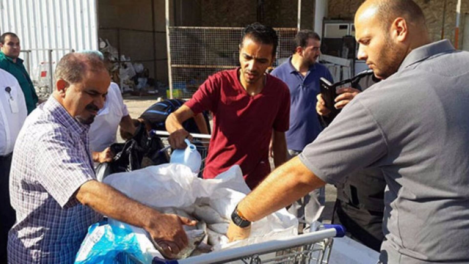 ارشيفية لاتلاف اسماك بإربد