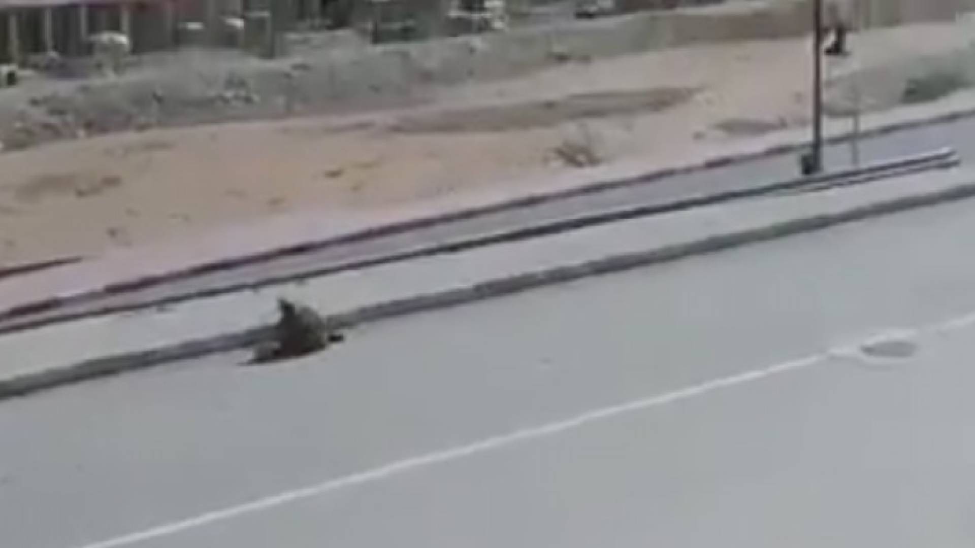 تعرف المنطقة رياحا عاصفة (فيسبوك)