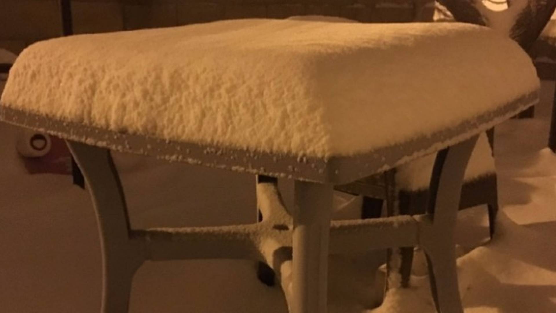 الثلوج في الرشادية والبترا