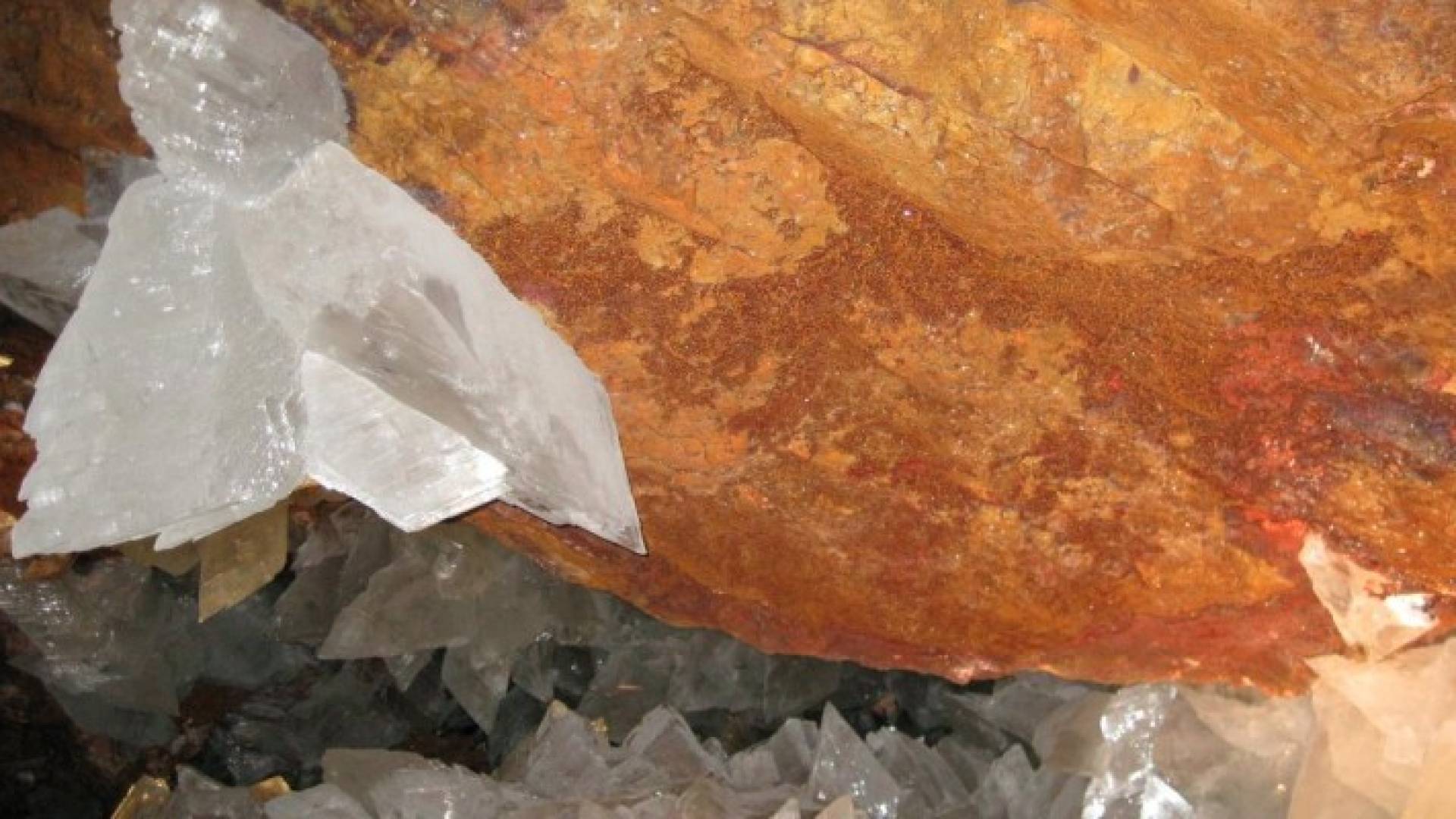 اكتشاف "حياة غريبة" تعود إلى 50 ألف سنة