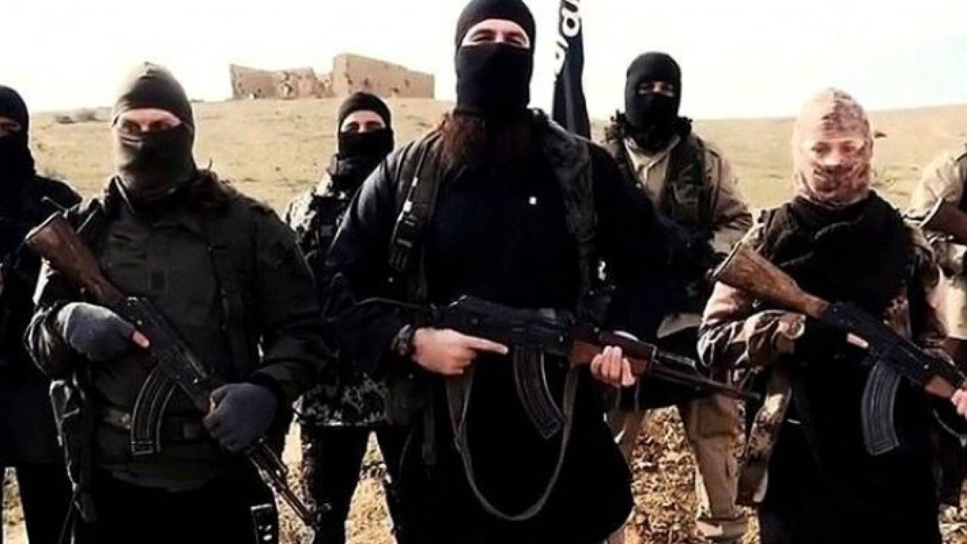 ارشيفية
