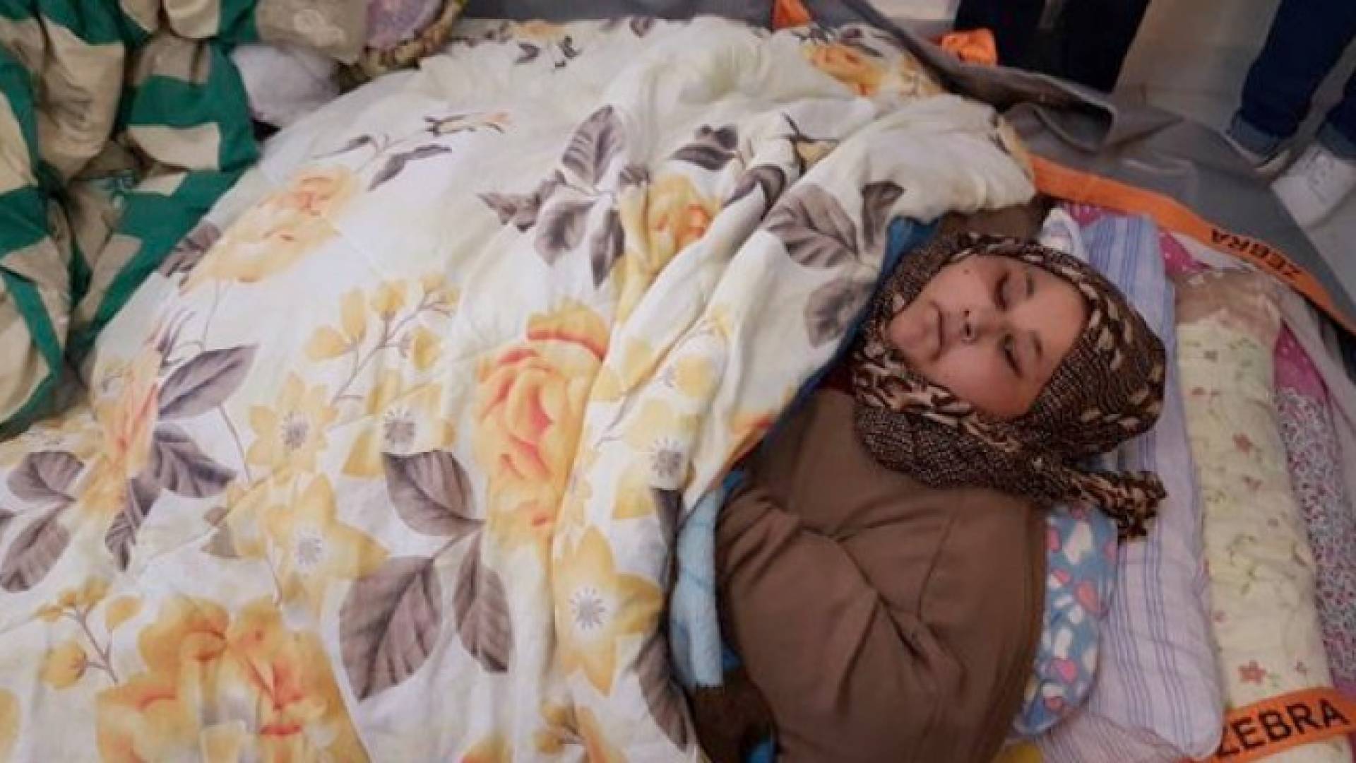  المصرية التي تزن نصف طن