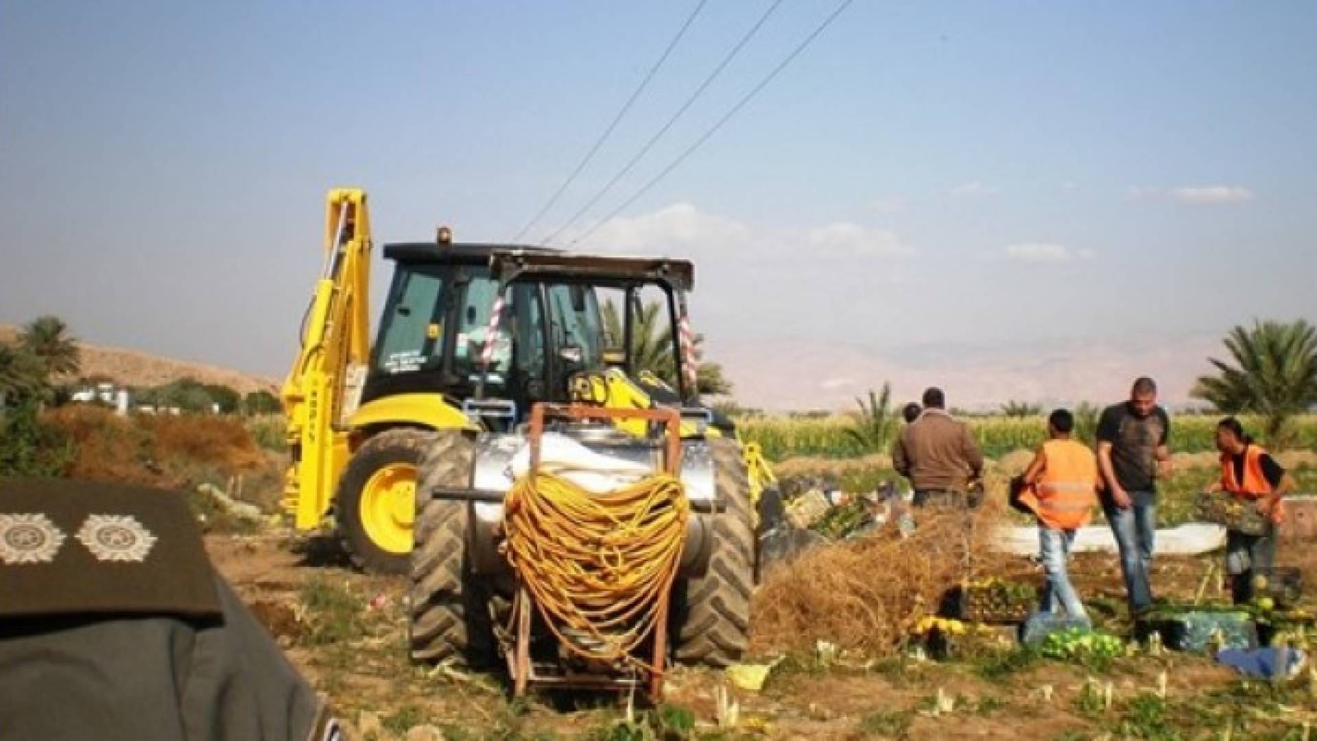 ارشيفية