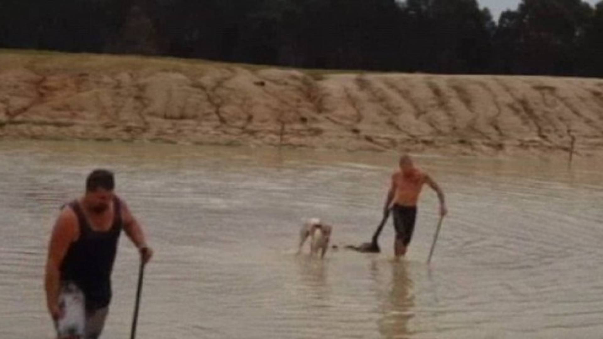 الصورة من الفيديو