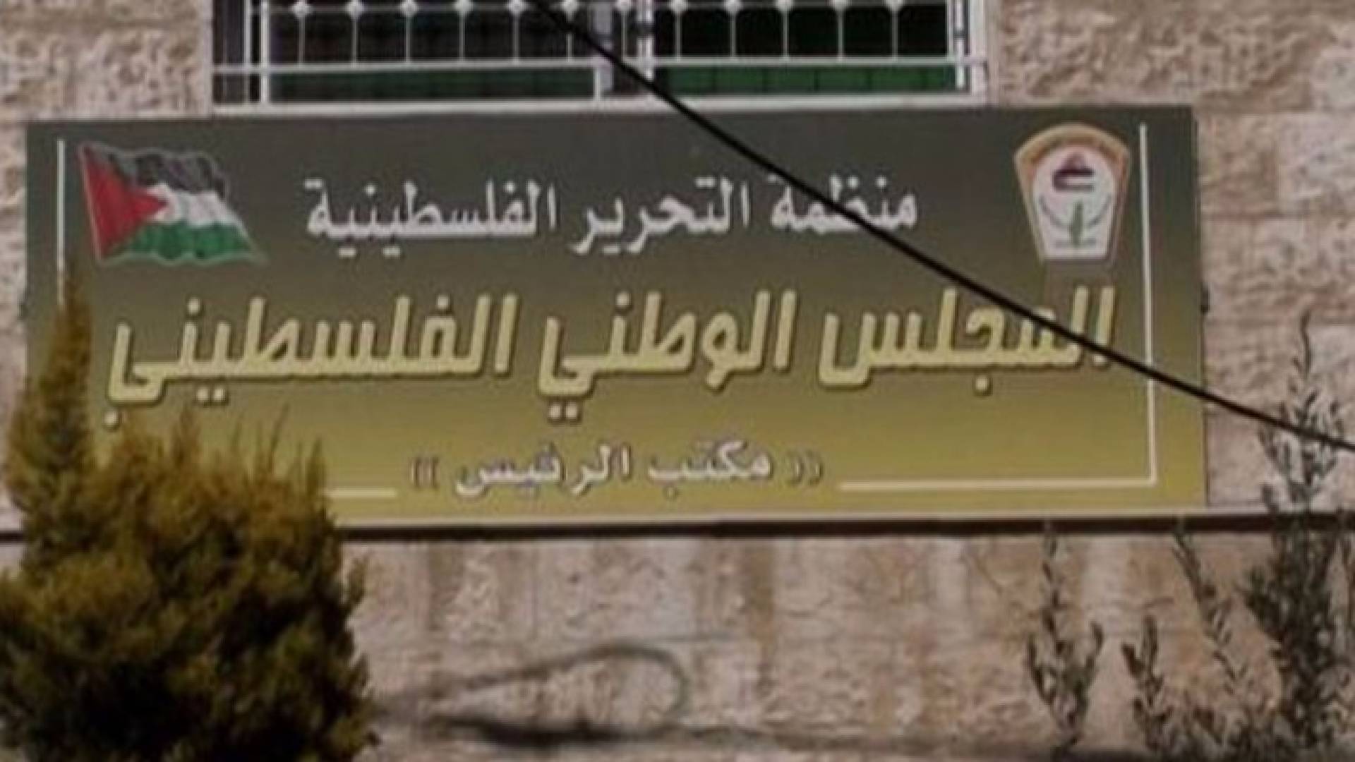 ارشيفية