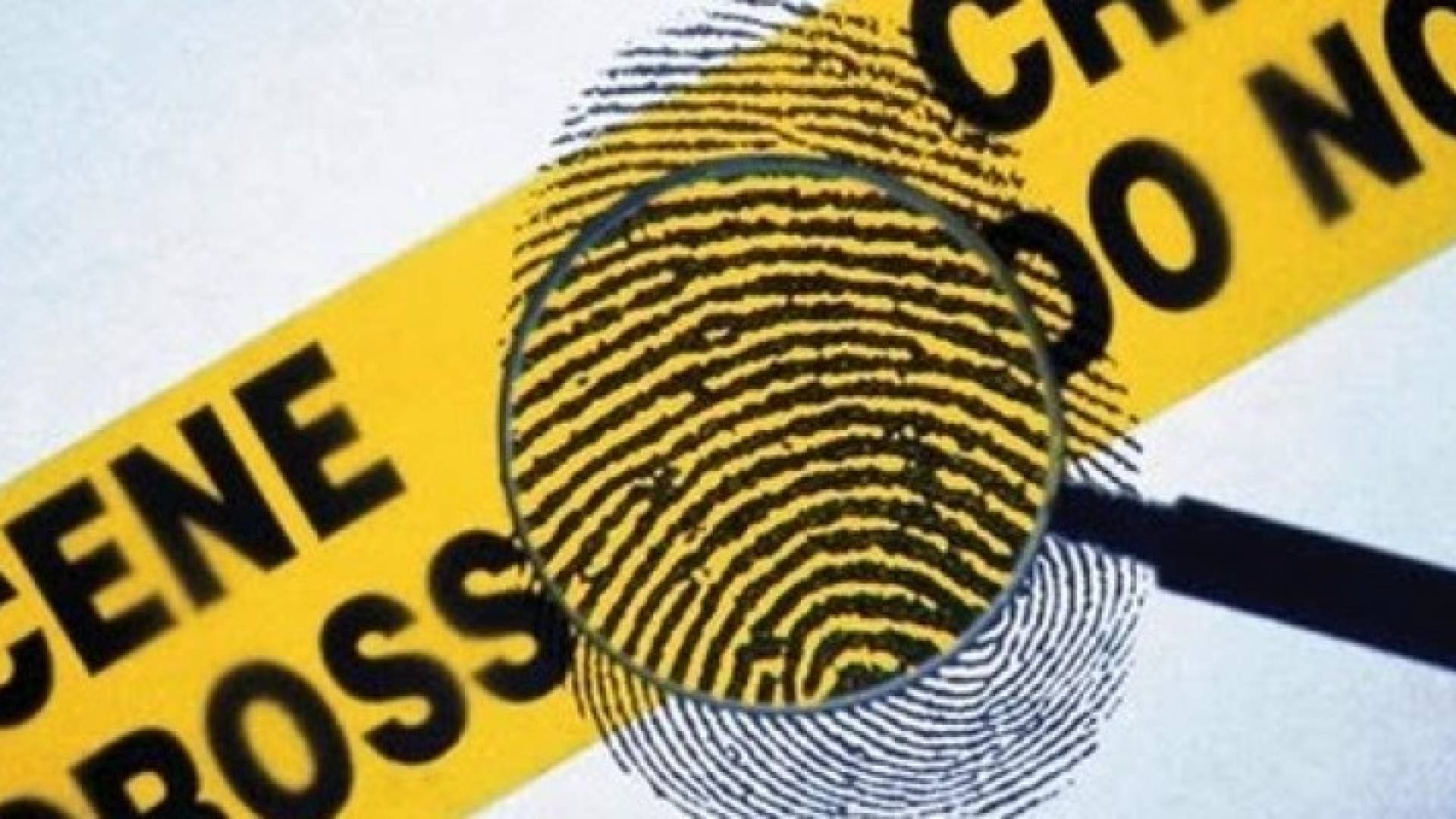 الصورة تعبيرية 