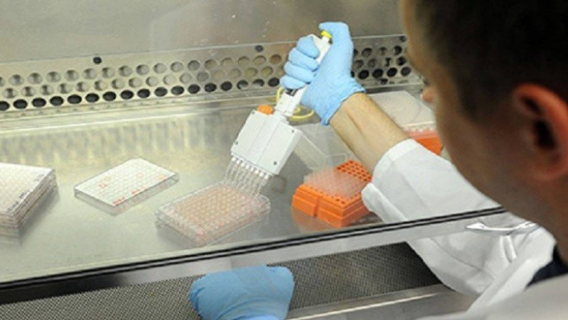 تعديل جينوم الإنسان