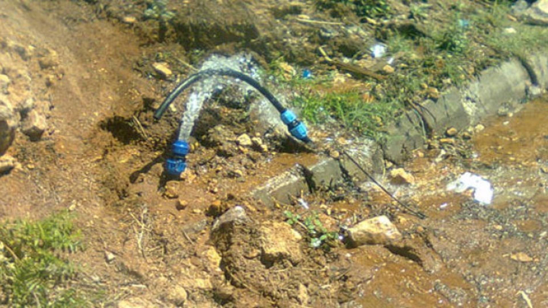 الصورة أرشيفية 