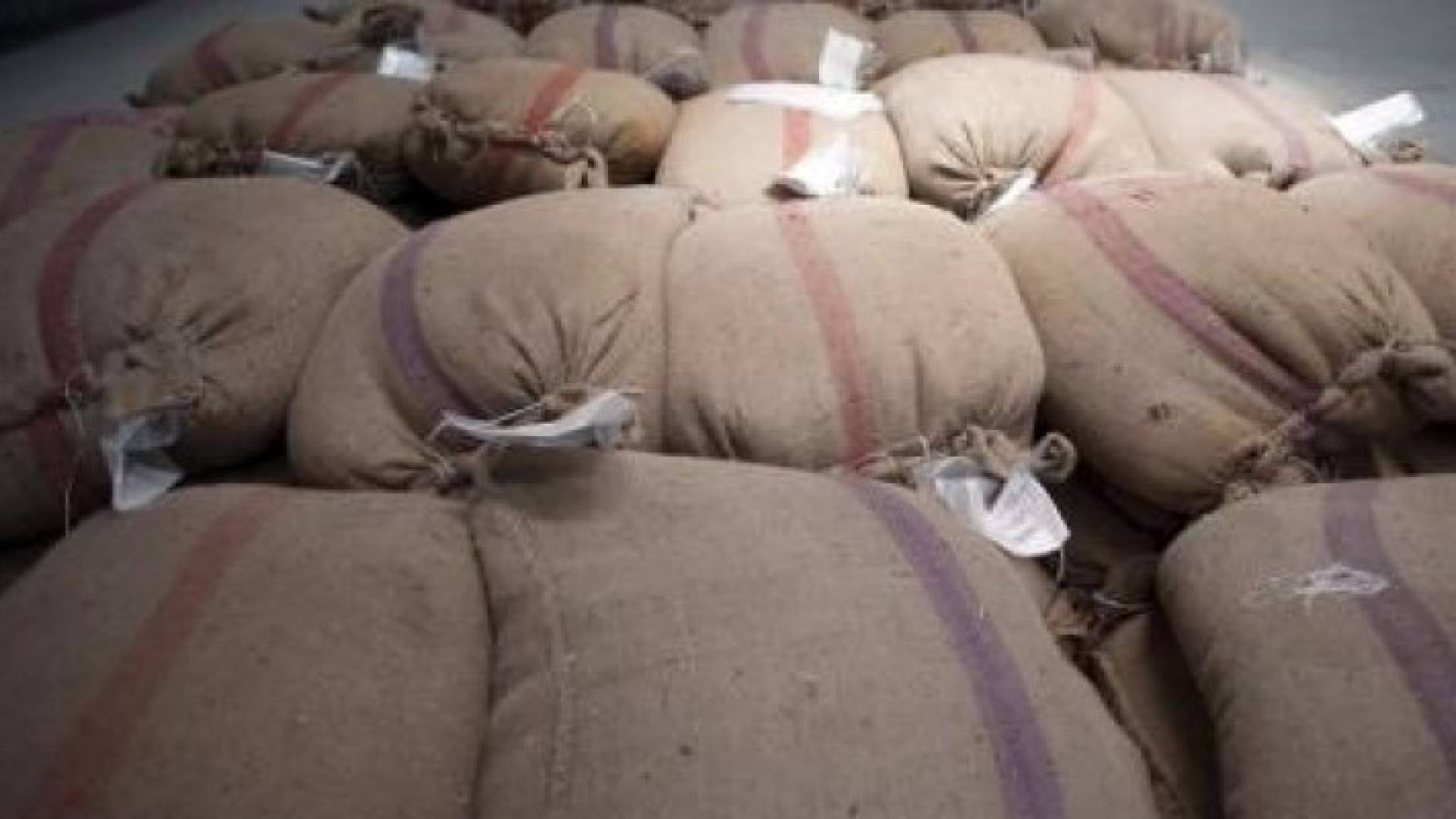 أجولة قمح في مستودع بالاسكندرية