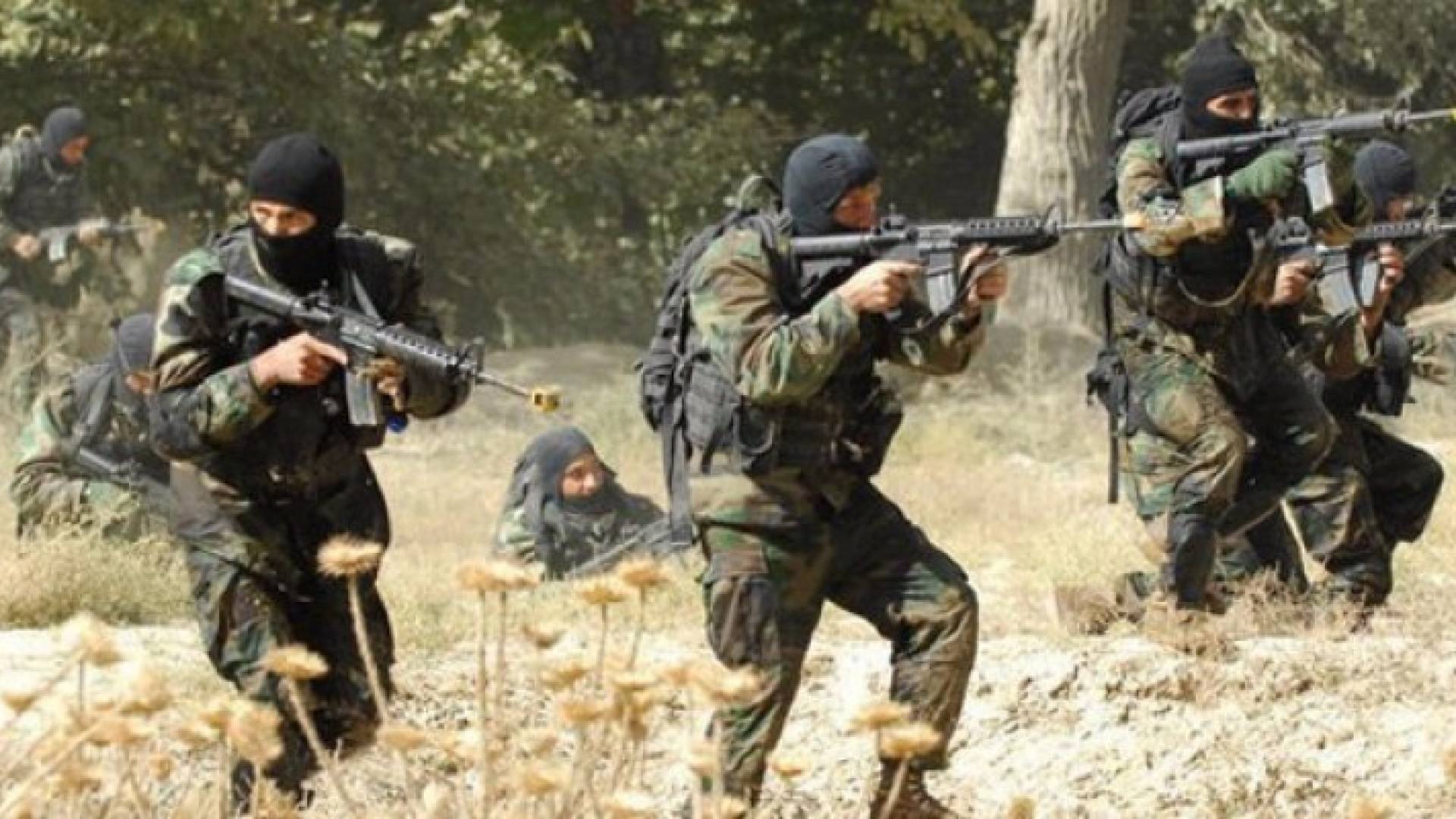 الجيش التونسي