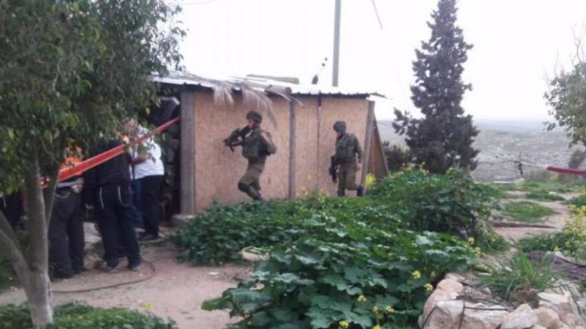 مزرعة مور القريبة من بلدة الظاهرية جنوب الخليل