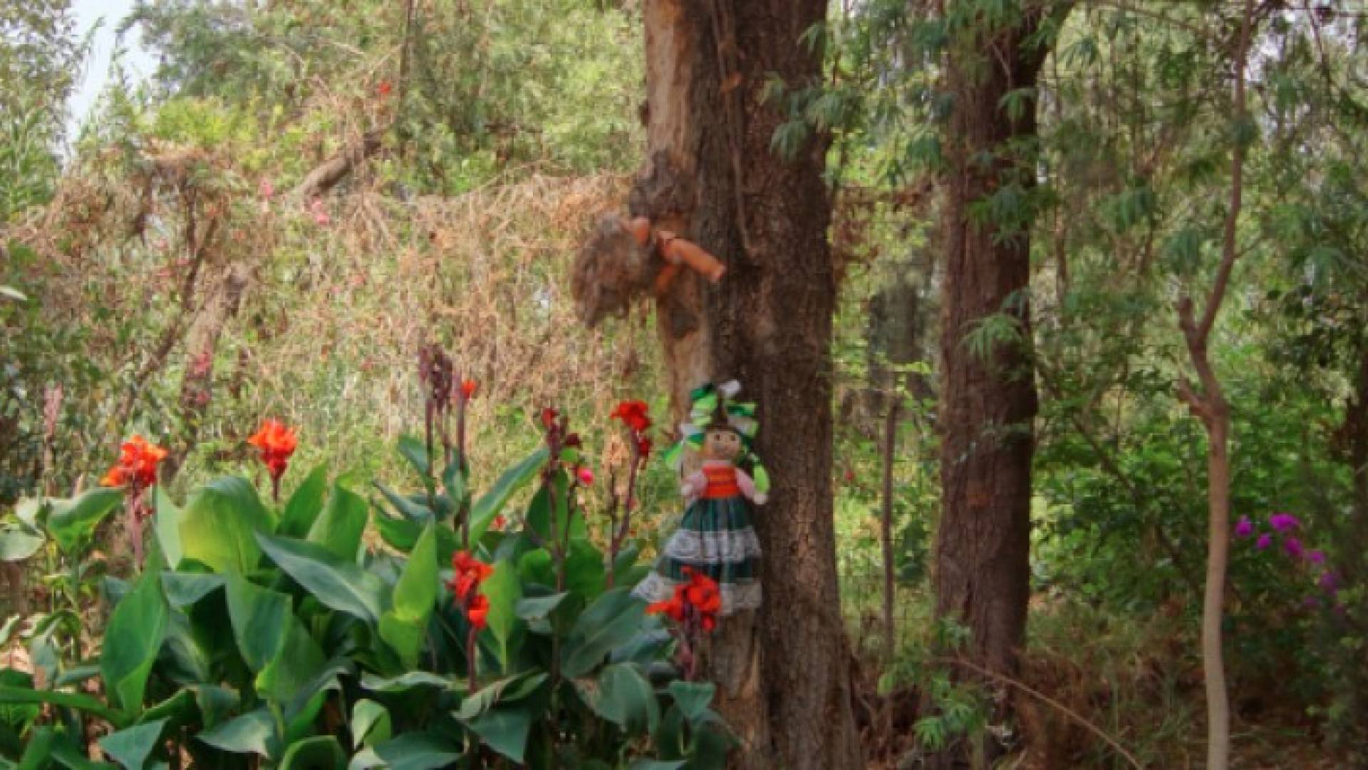 جزيرة الدمى