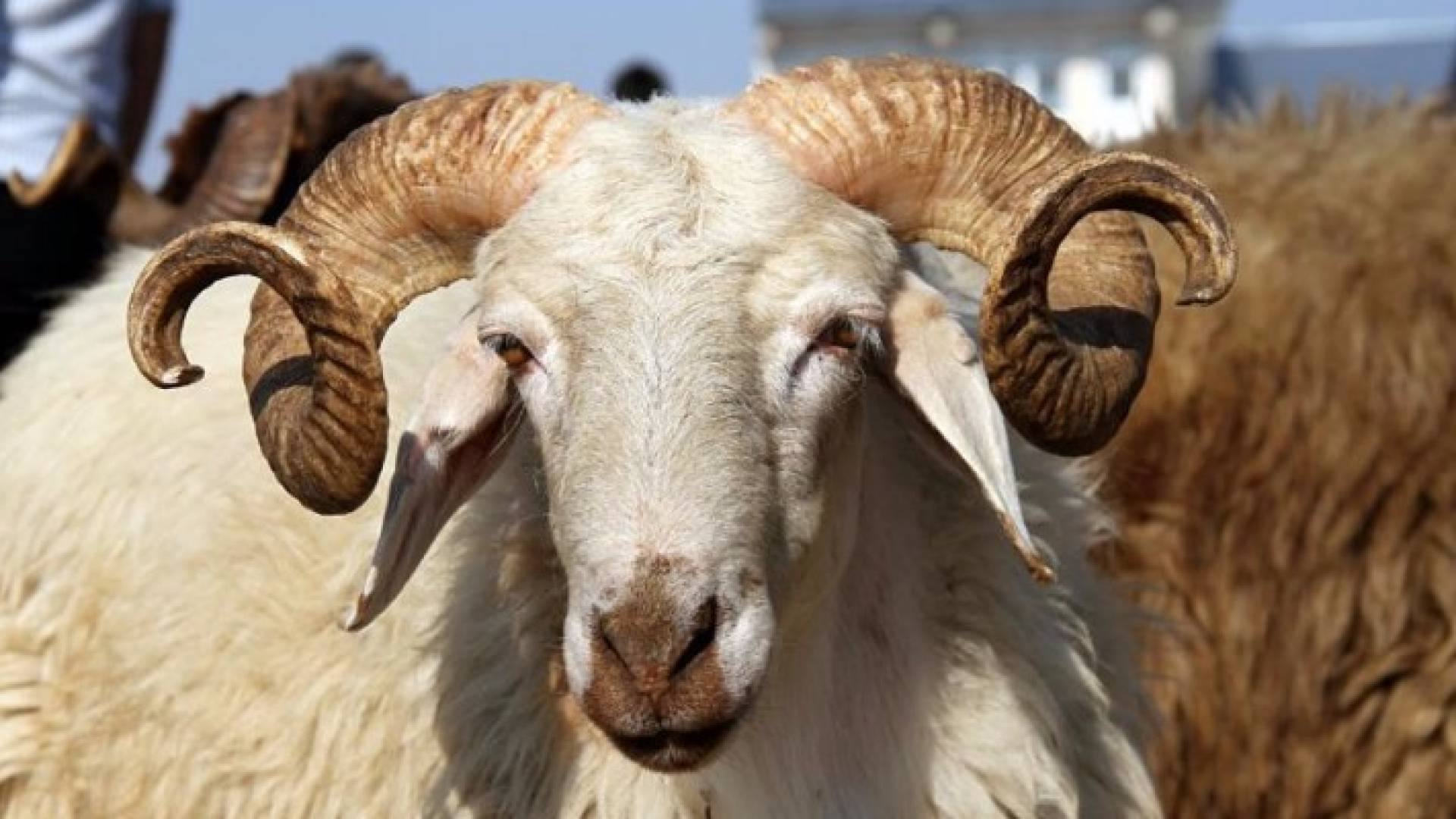 تعبيرية