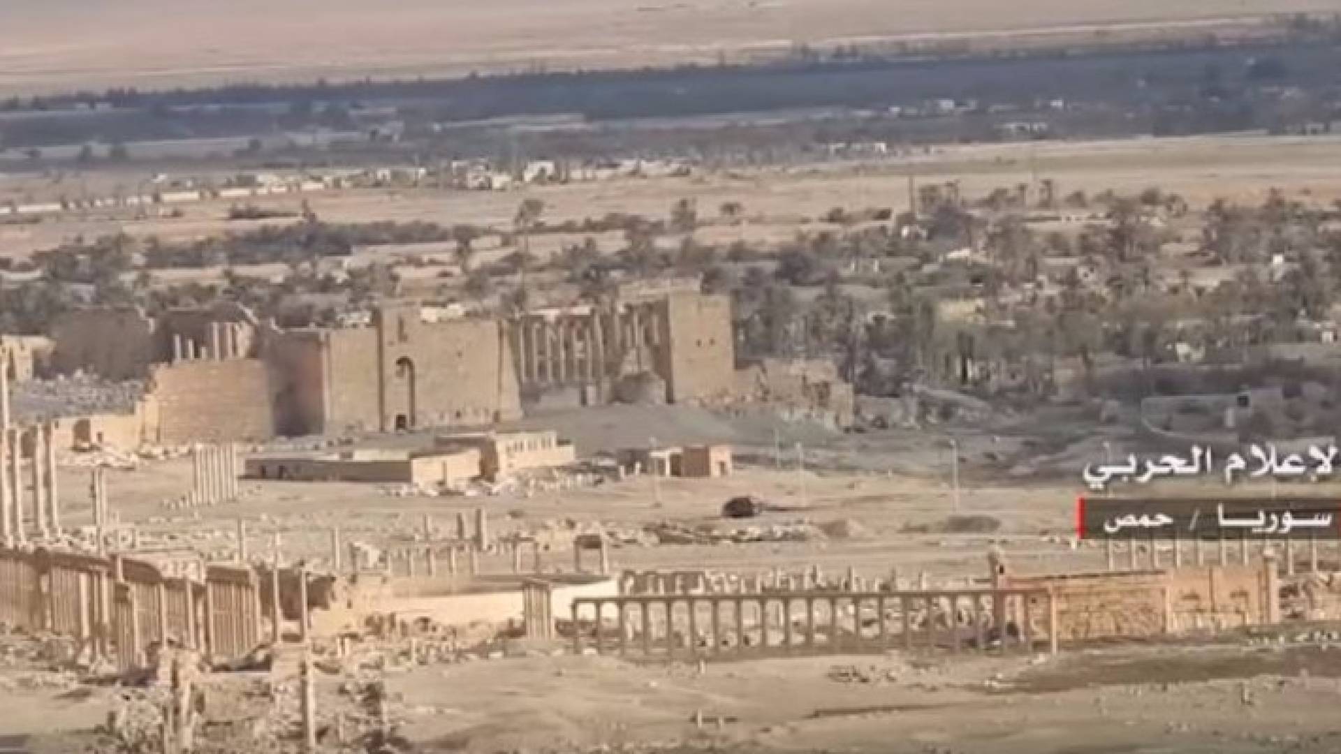 صورة من الفيديو 