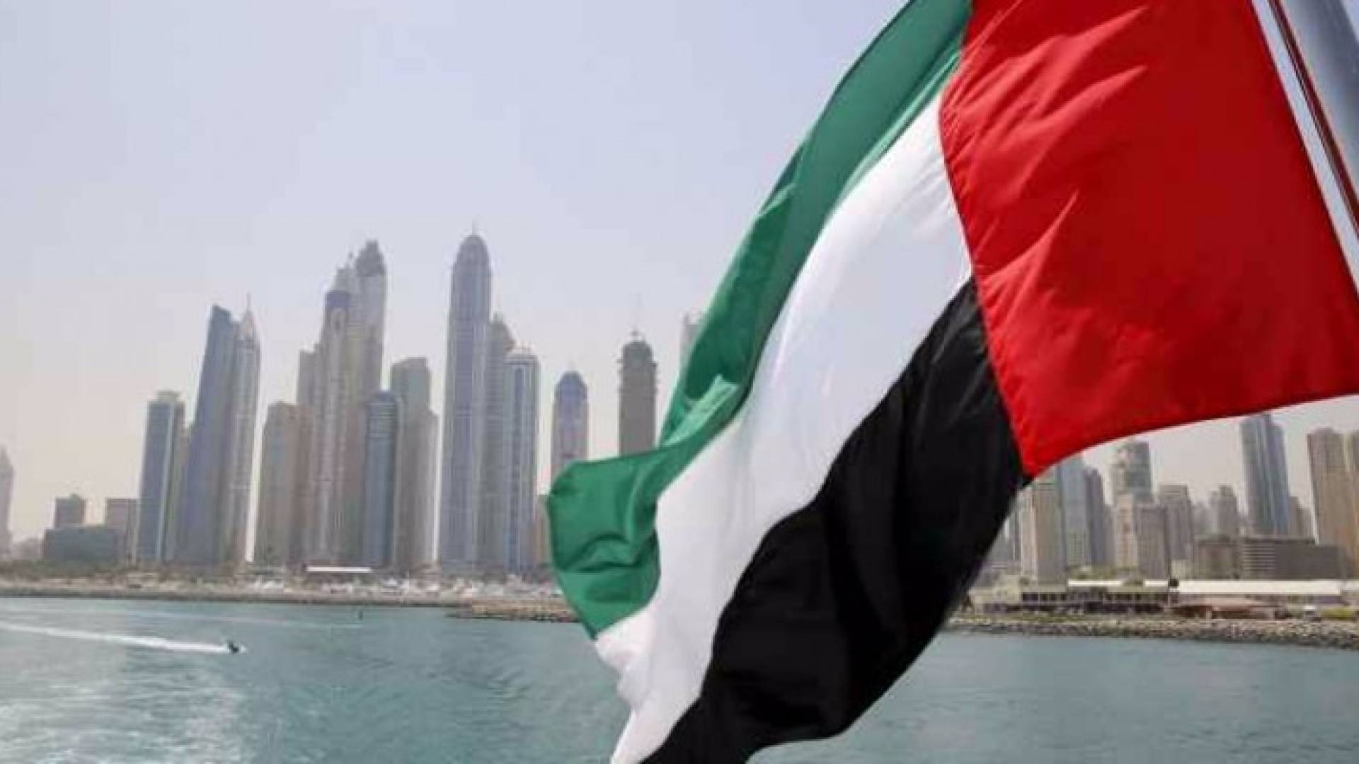 الوظيفة لجميع "مواطني العالم العربي من عمر 5 سنوات حتى 95 عاما"