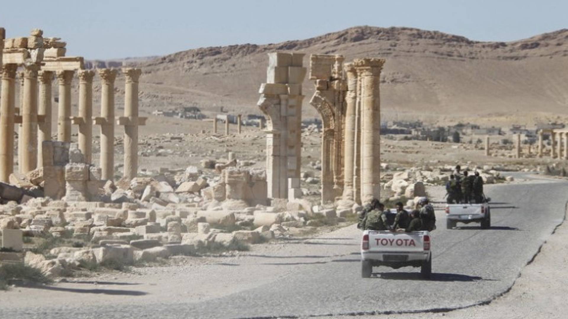 ارشيفية