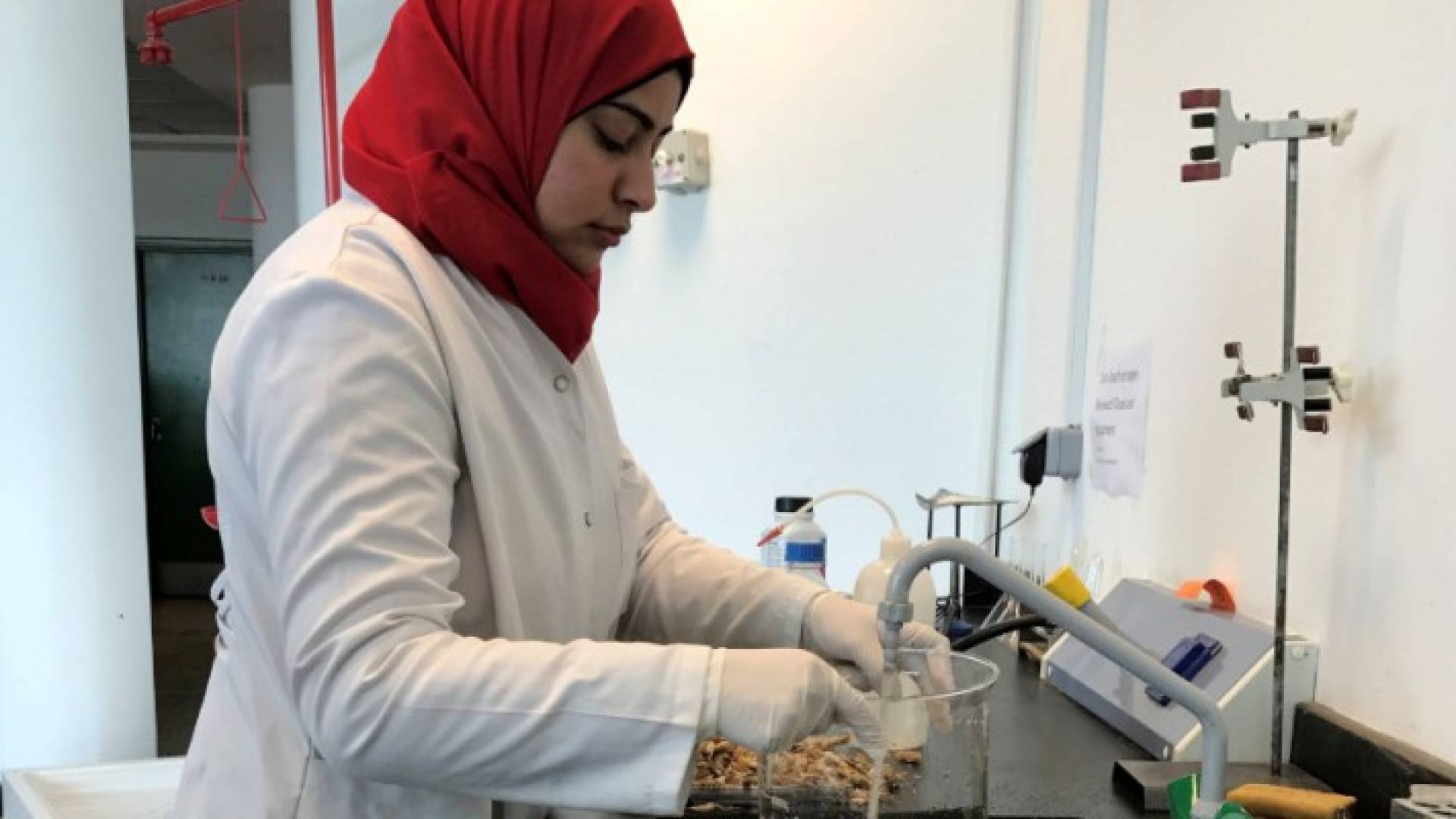 باحثة تحمل قشر الجمبرى