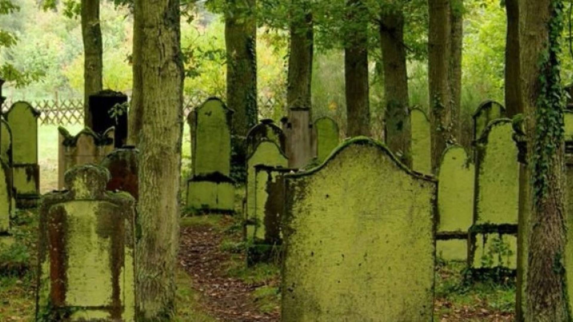 اللجنة شكلت للتحقيق في اختفاء 800 طفل ورضيع ممن ولدوا لأمهات خارج اطار الزوجية 