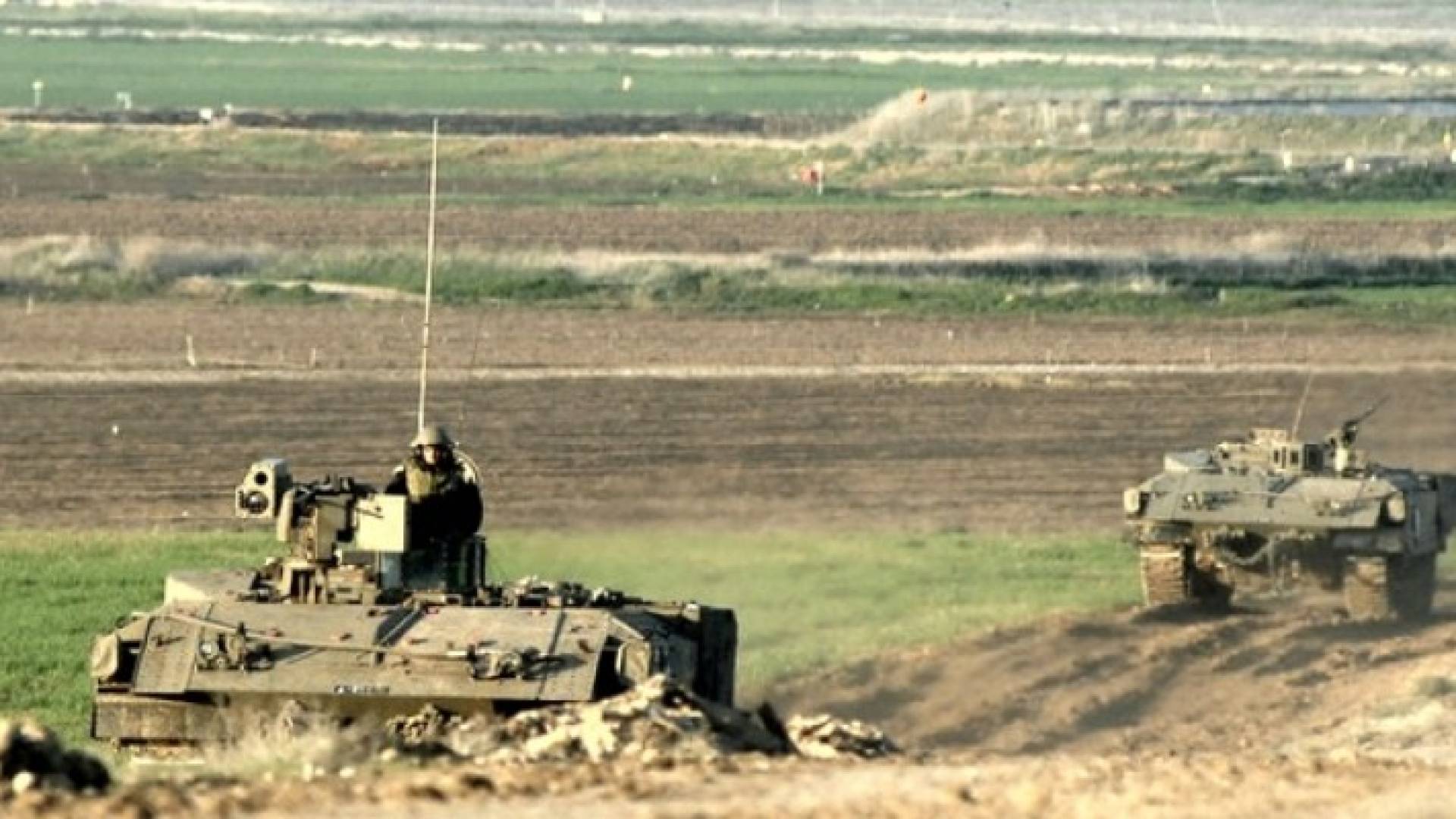 ارشيفية
