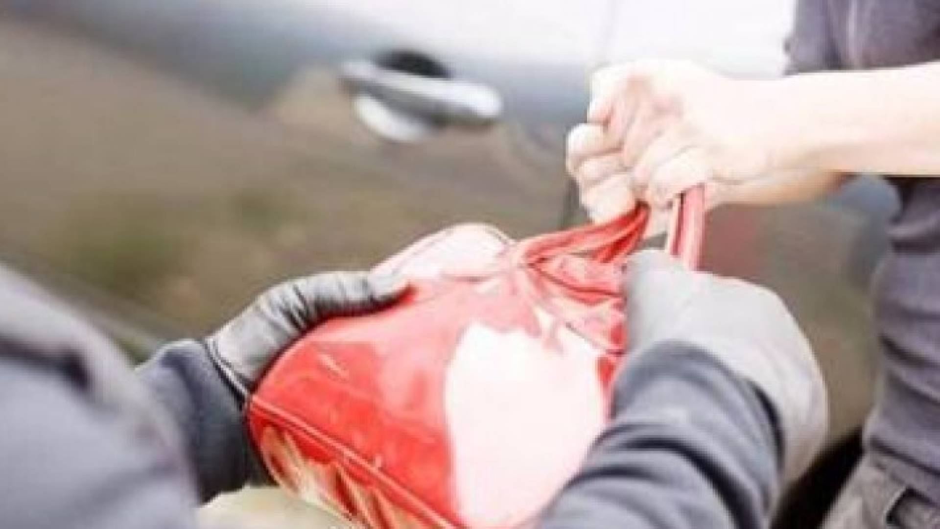 الصورة تعبيرية 