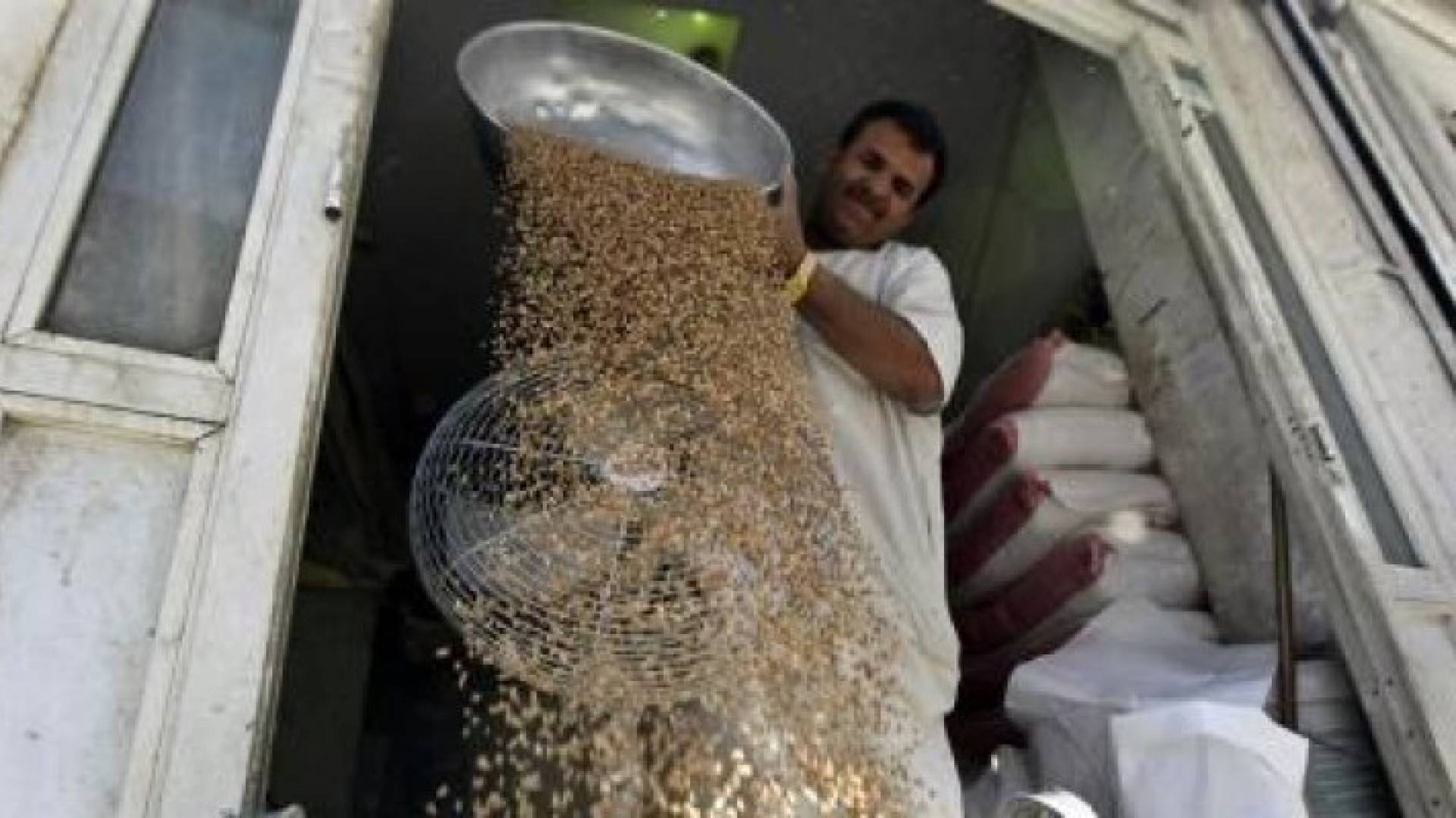 رجل يفرز القمح في الرياض