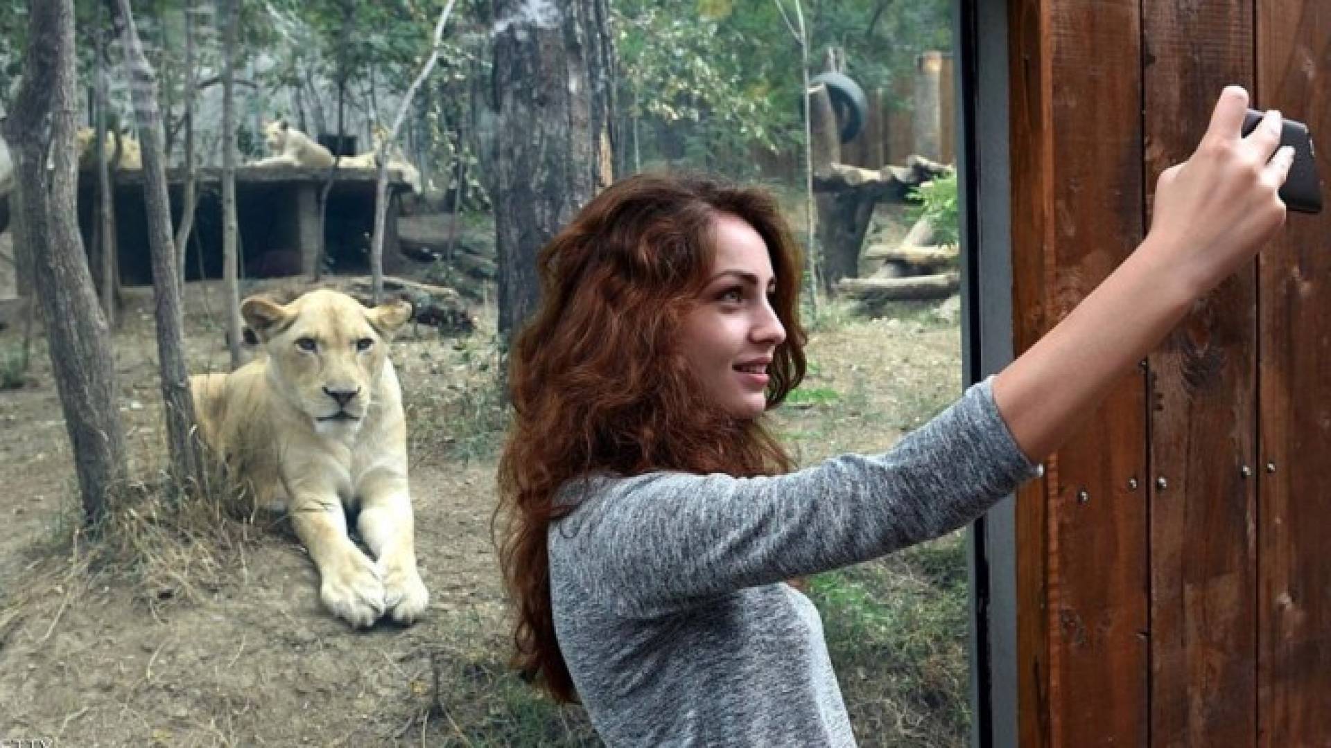 التطبيق صممته الشركة "لدواع عاطفية"