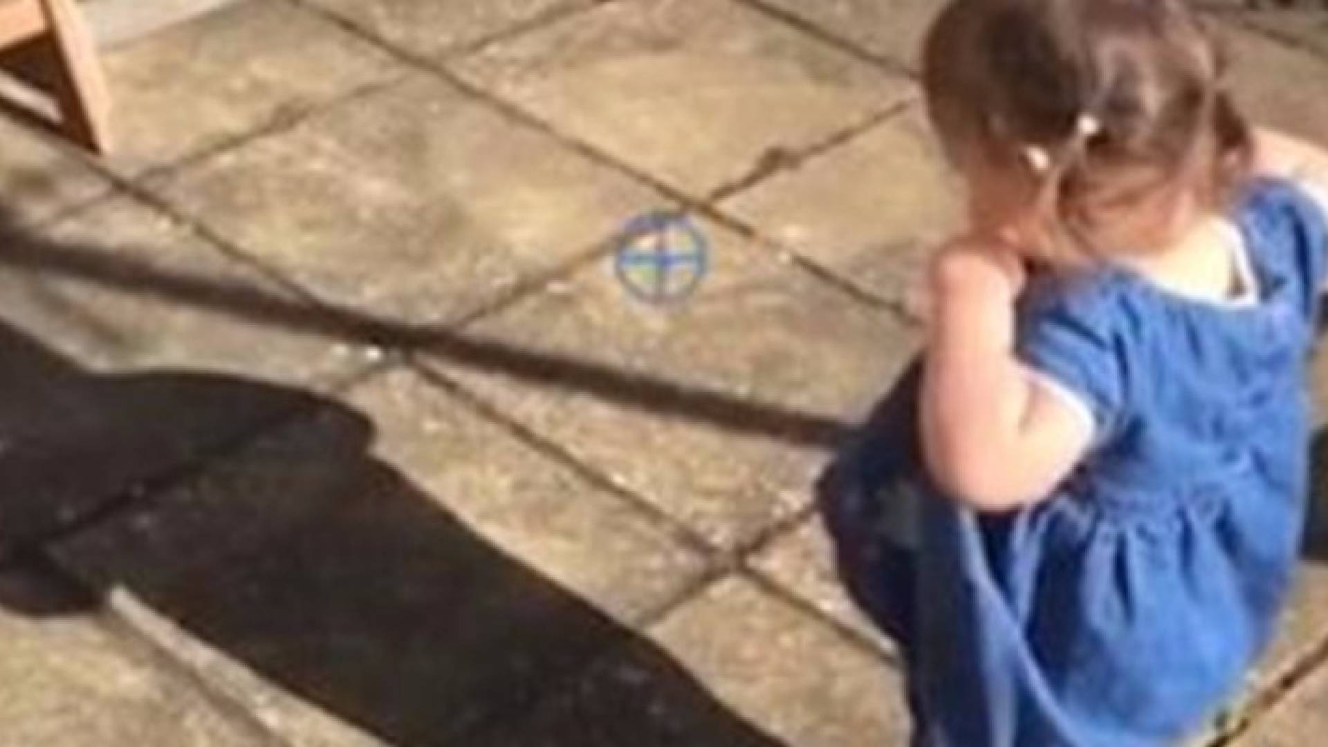 صورة من الفيديو 