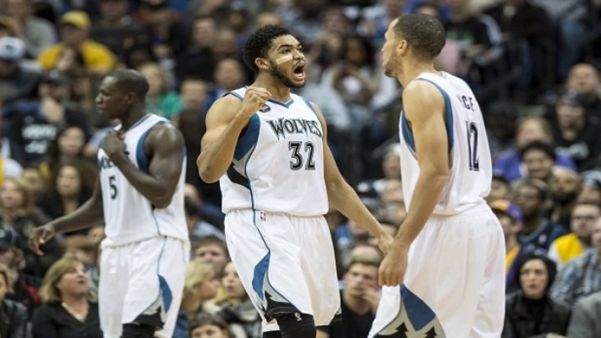 فريق مينيسوتا تمبروولفز