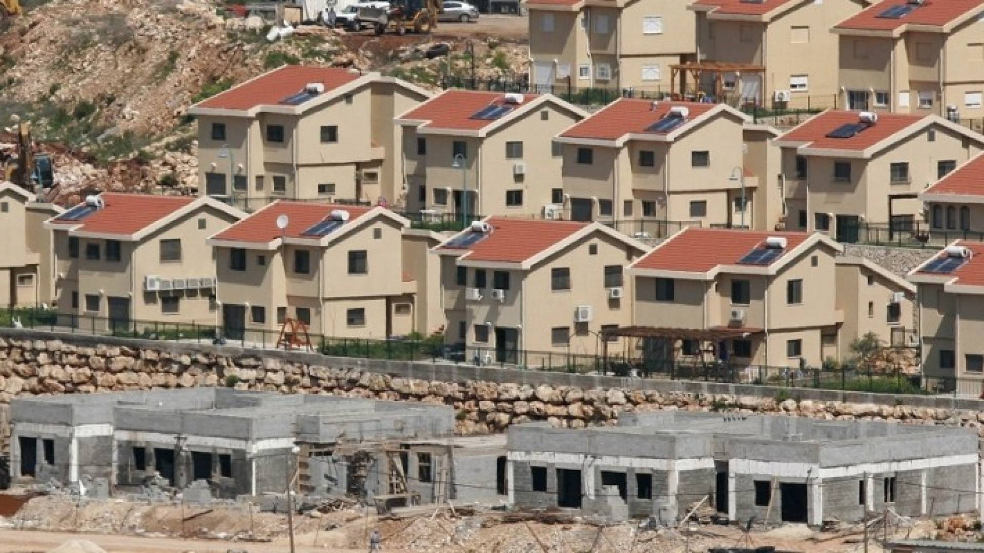 ارشيفية