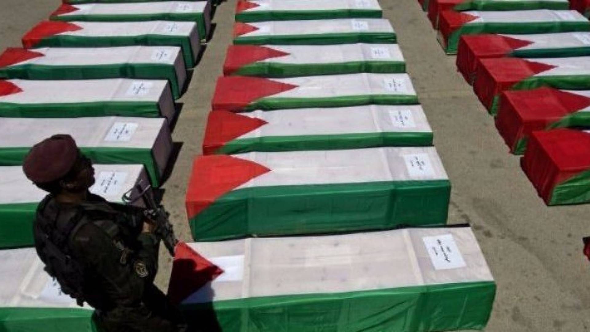 الصورة أرشيفية 