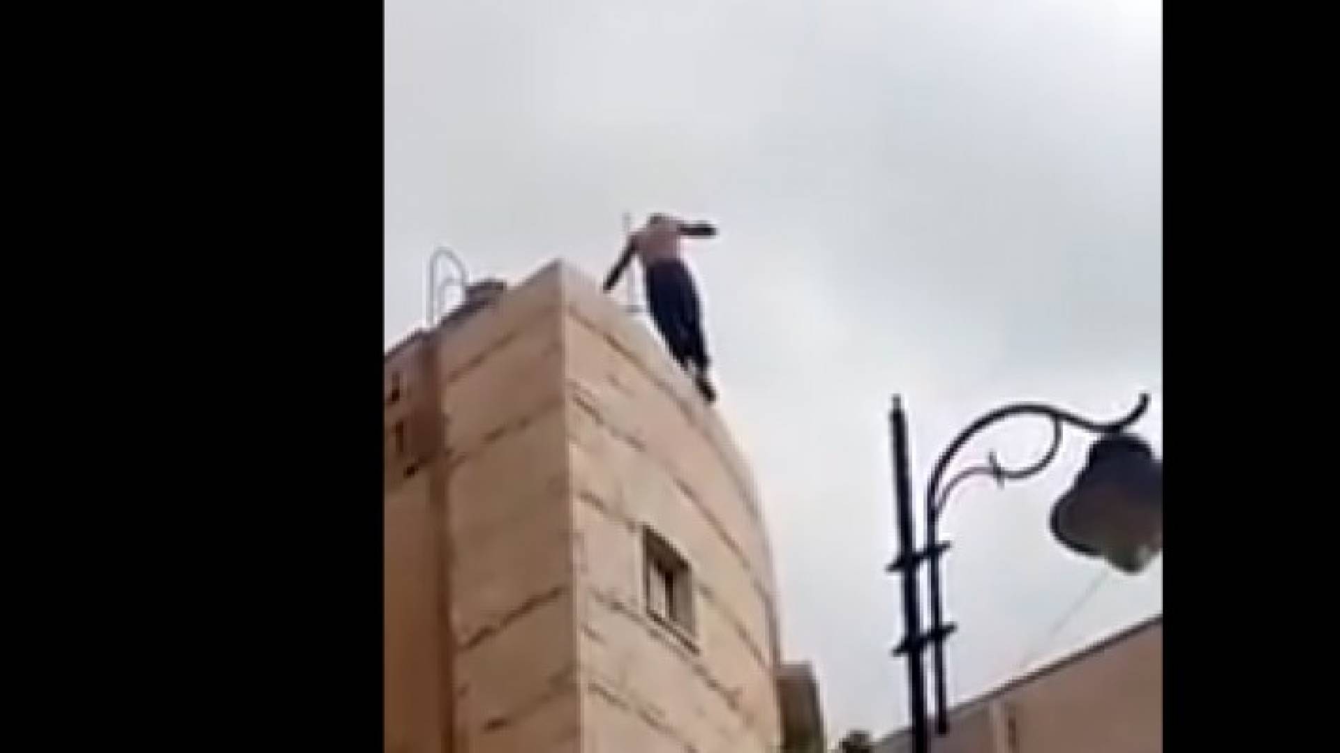 الصورة من الفيديو