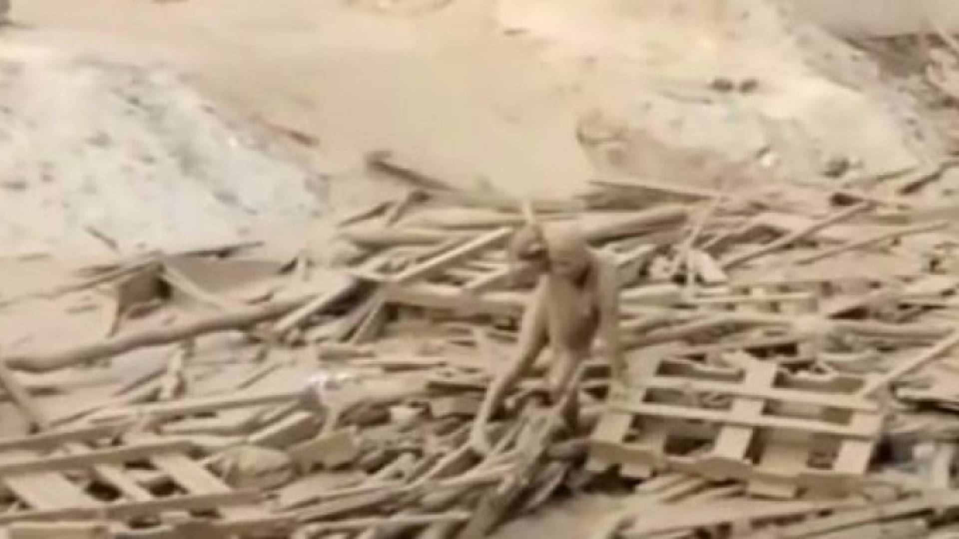 الصورة من الفيديو