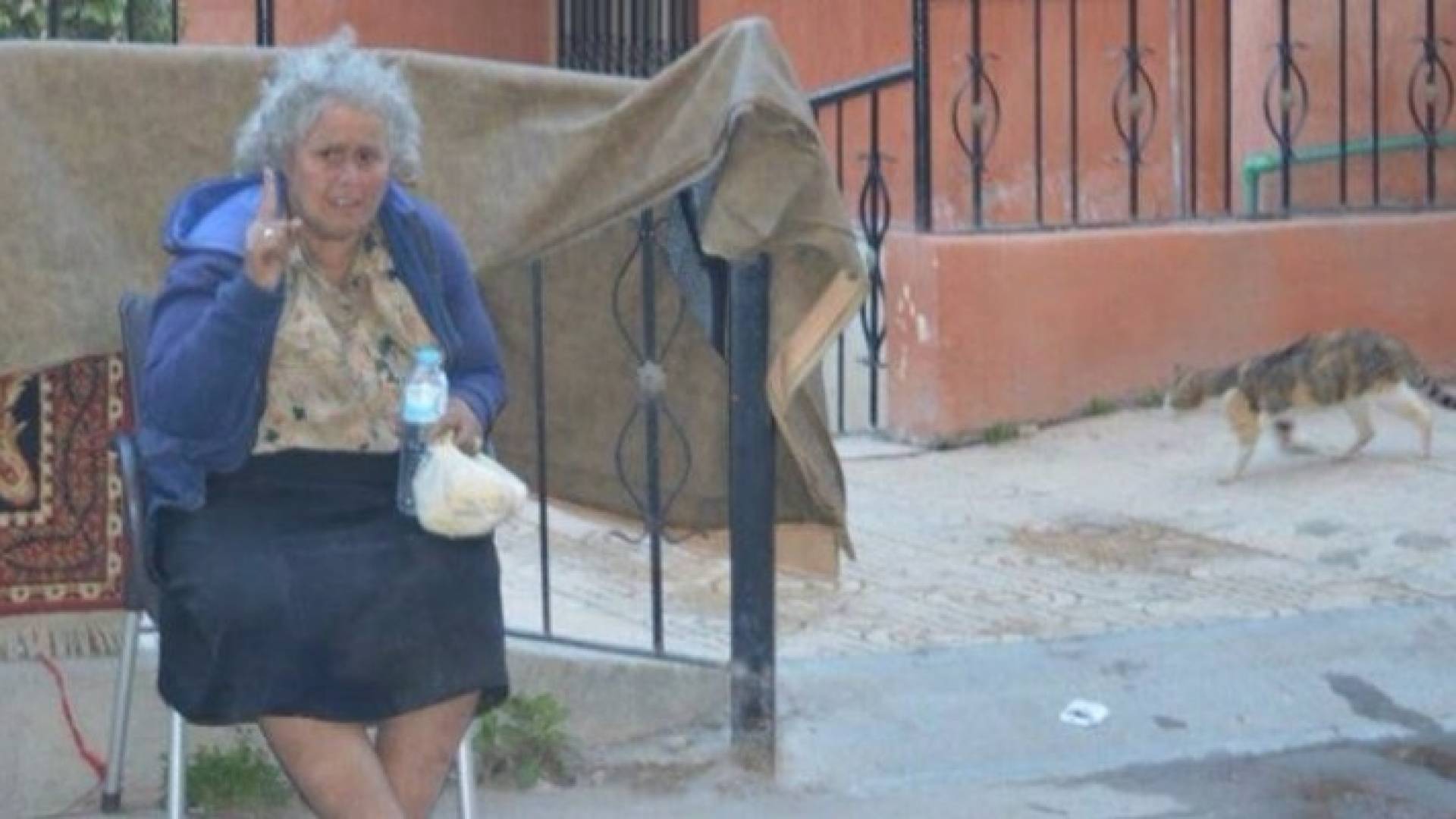 المسنة المصرية