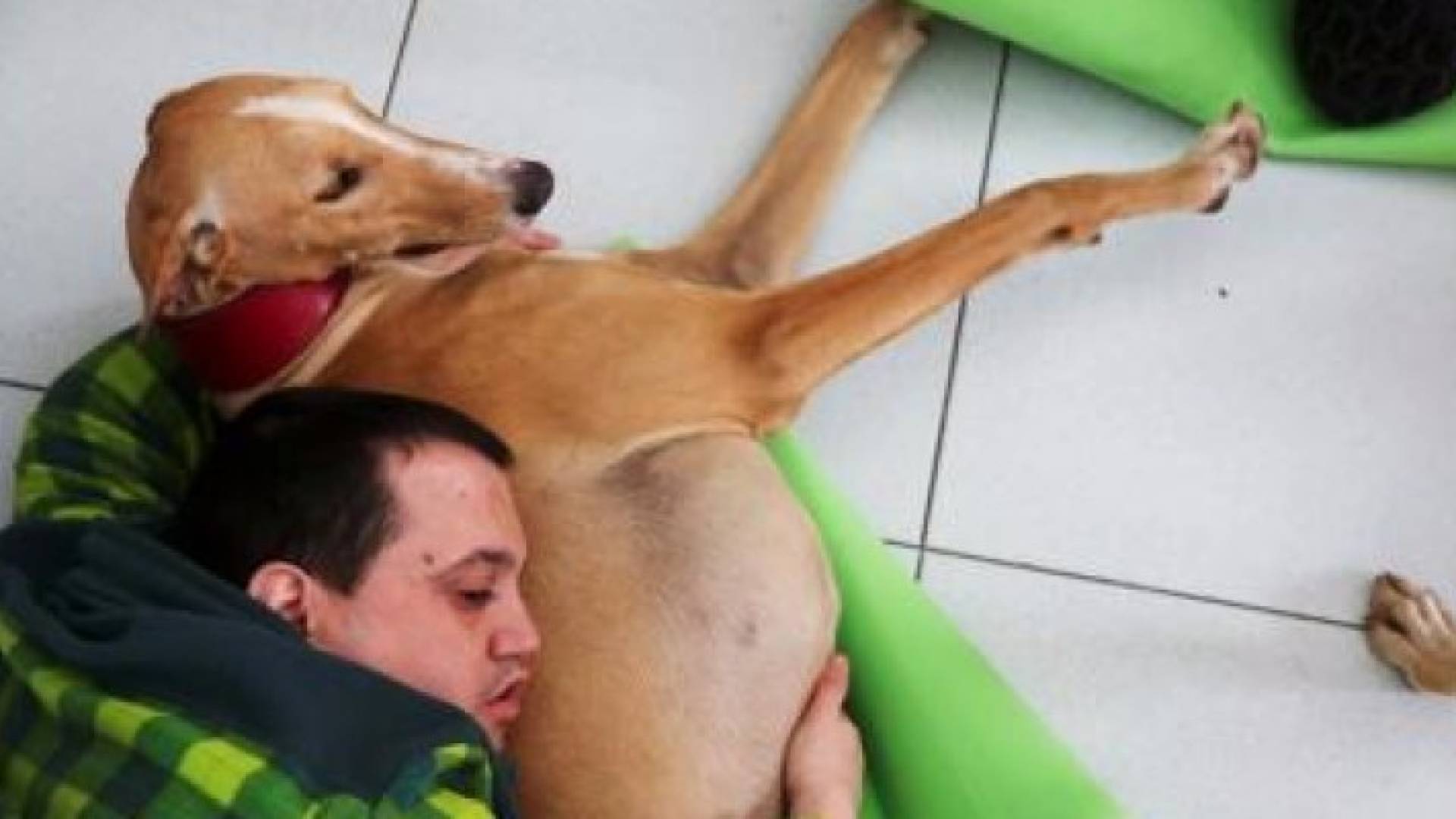 رجل يحتضن كلبا من فصيلة الكلاب السلوقية في مركز للطب النفسي بجبال البرانس في إسبانيا 