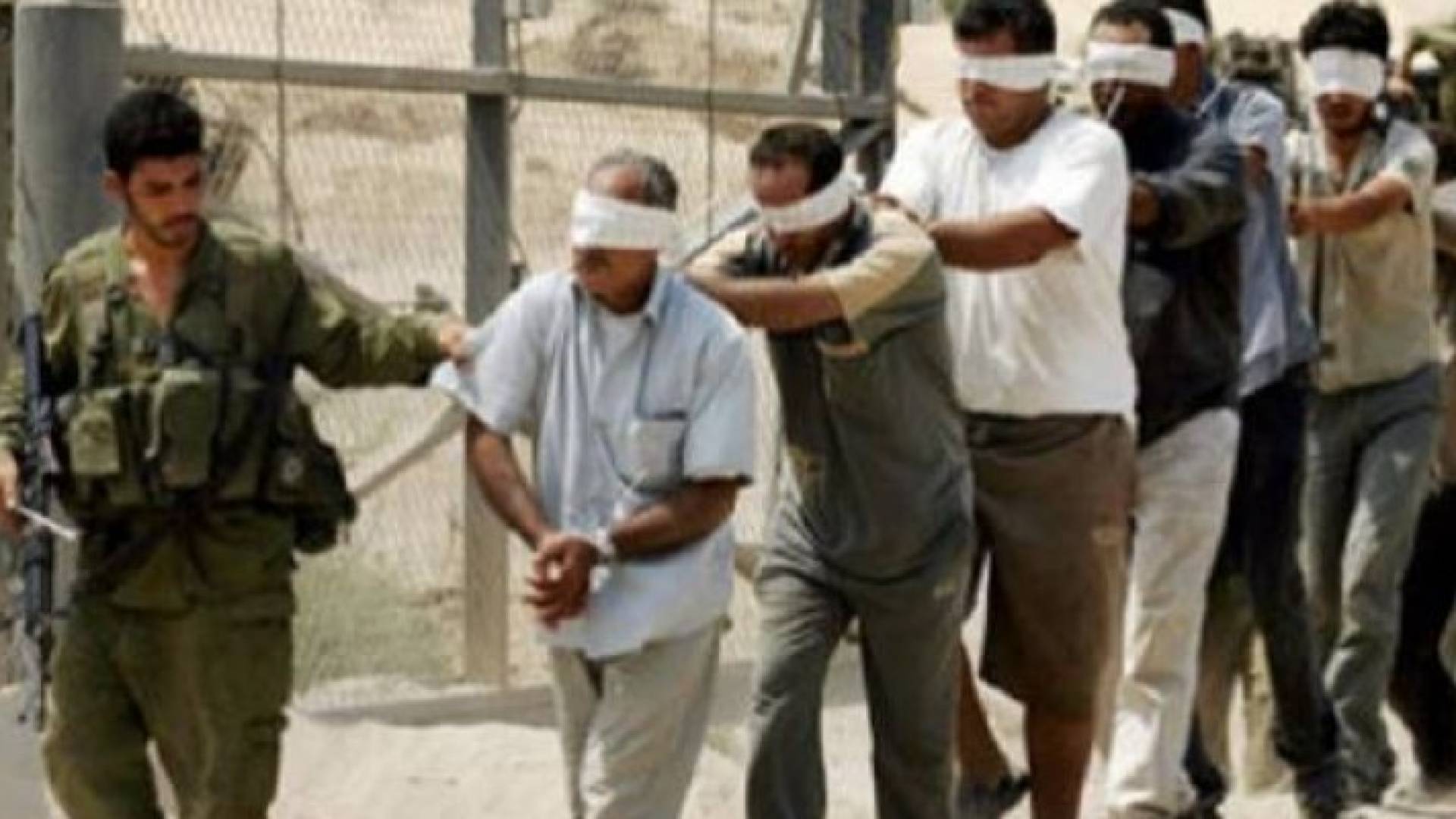 ارشيفية