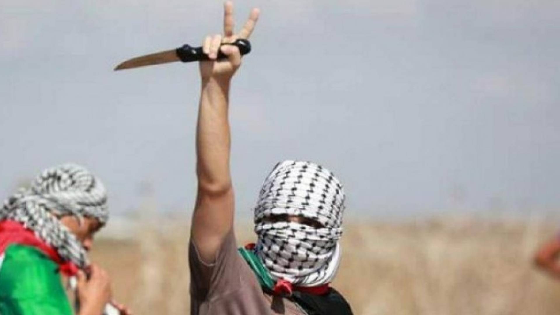 صورة تعبيرية