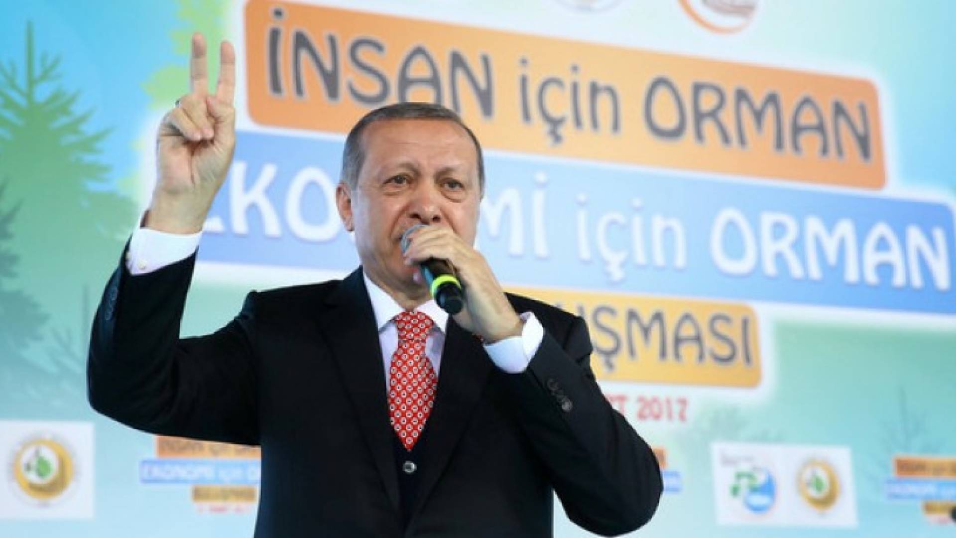 الرئيس التركي رجب طيب إردوغان