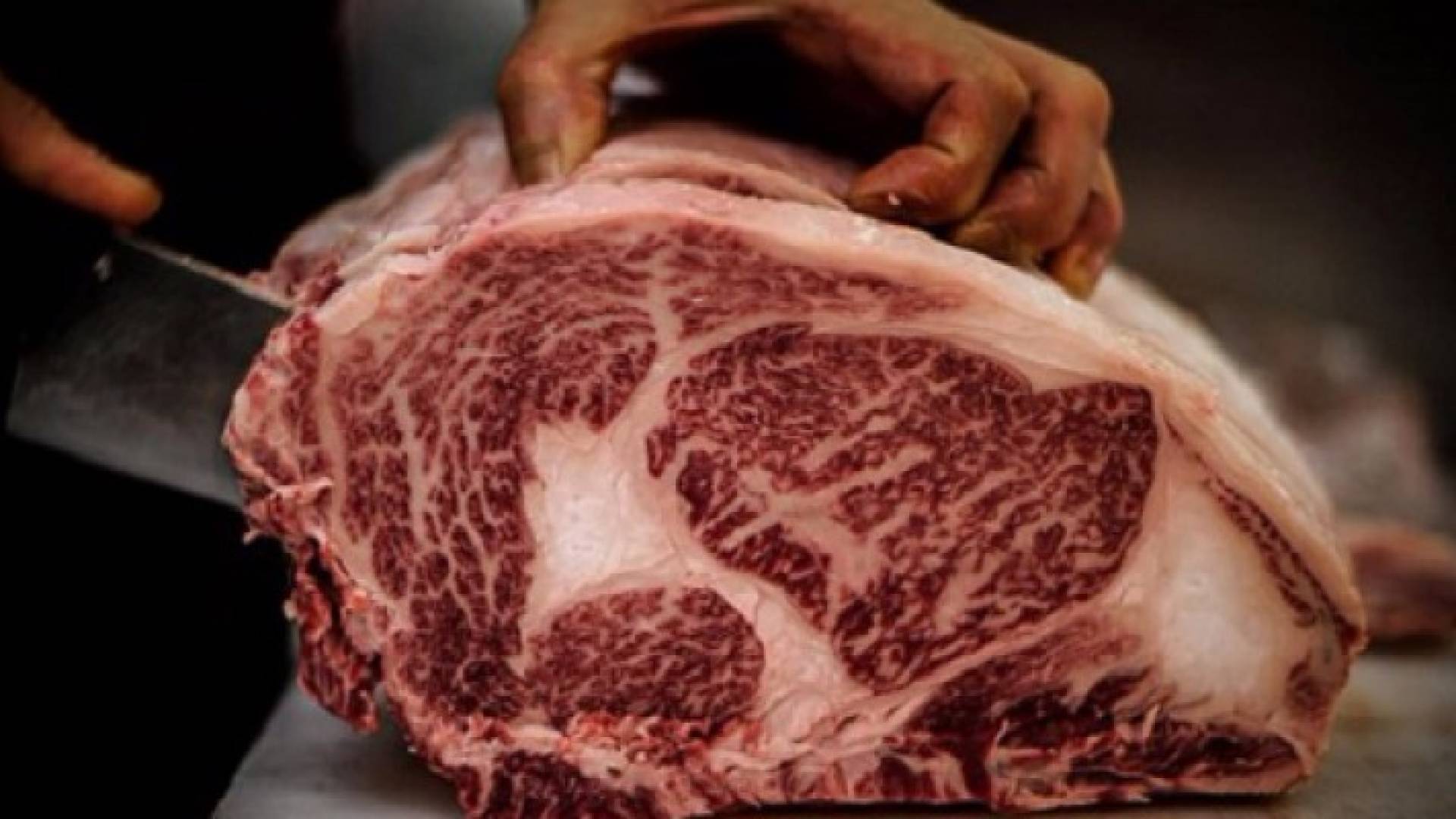 الصورة تعبيرية 