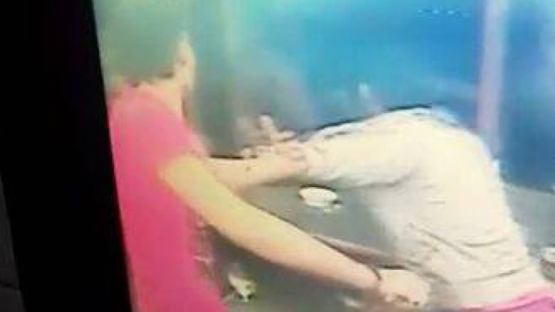 مجهولون يطعنون عشريني ويلوذون بالفرار في اربد