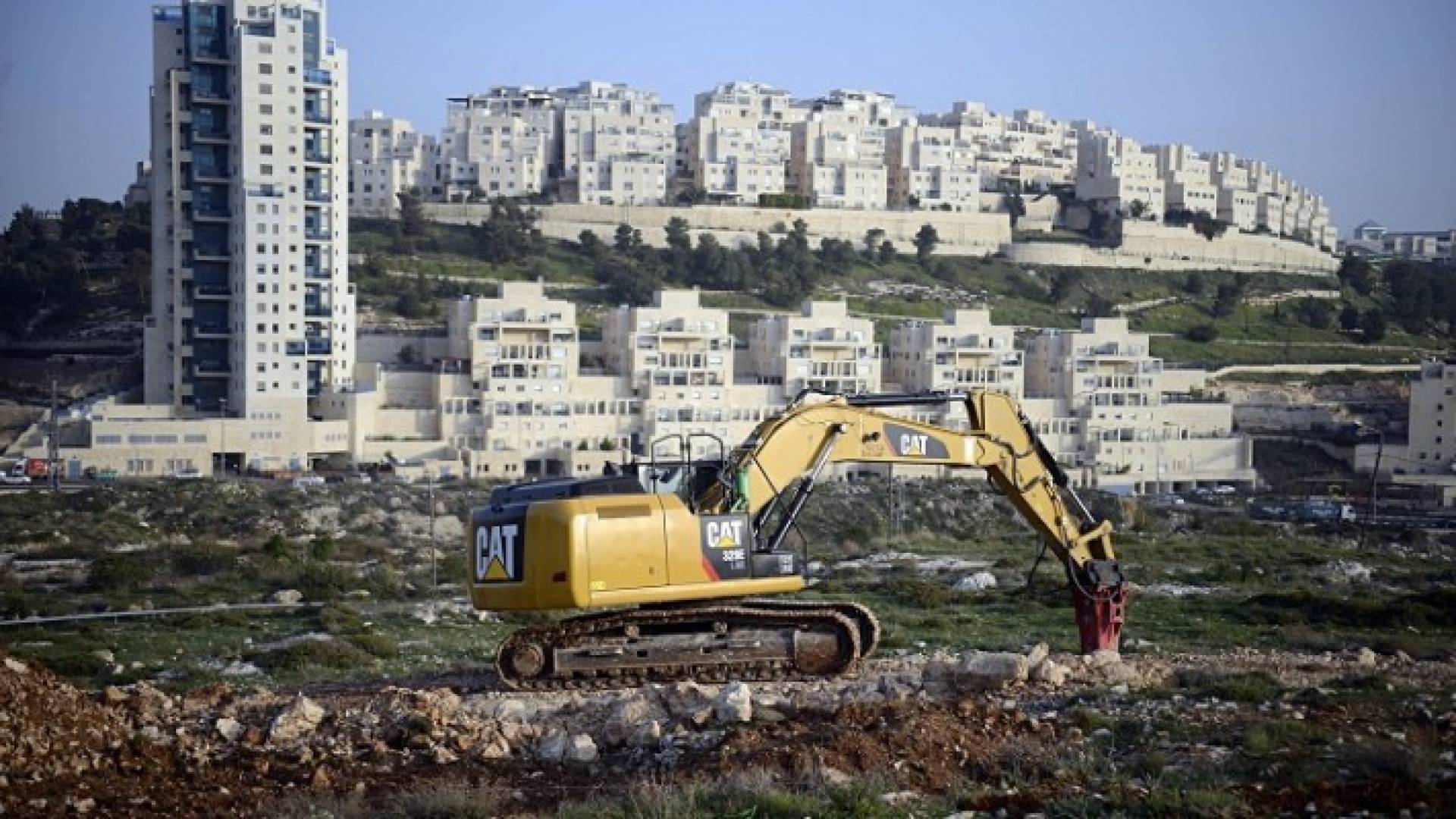 الصورة أرشيفية 