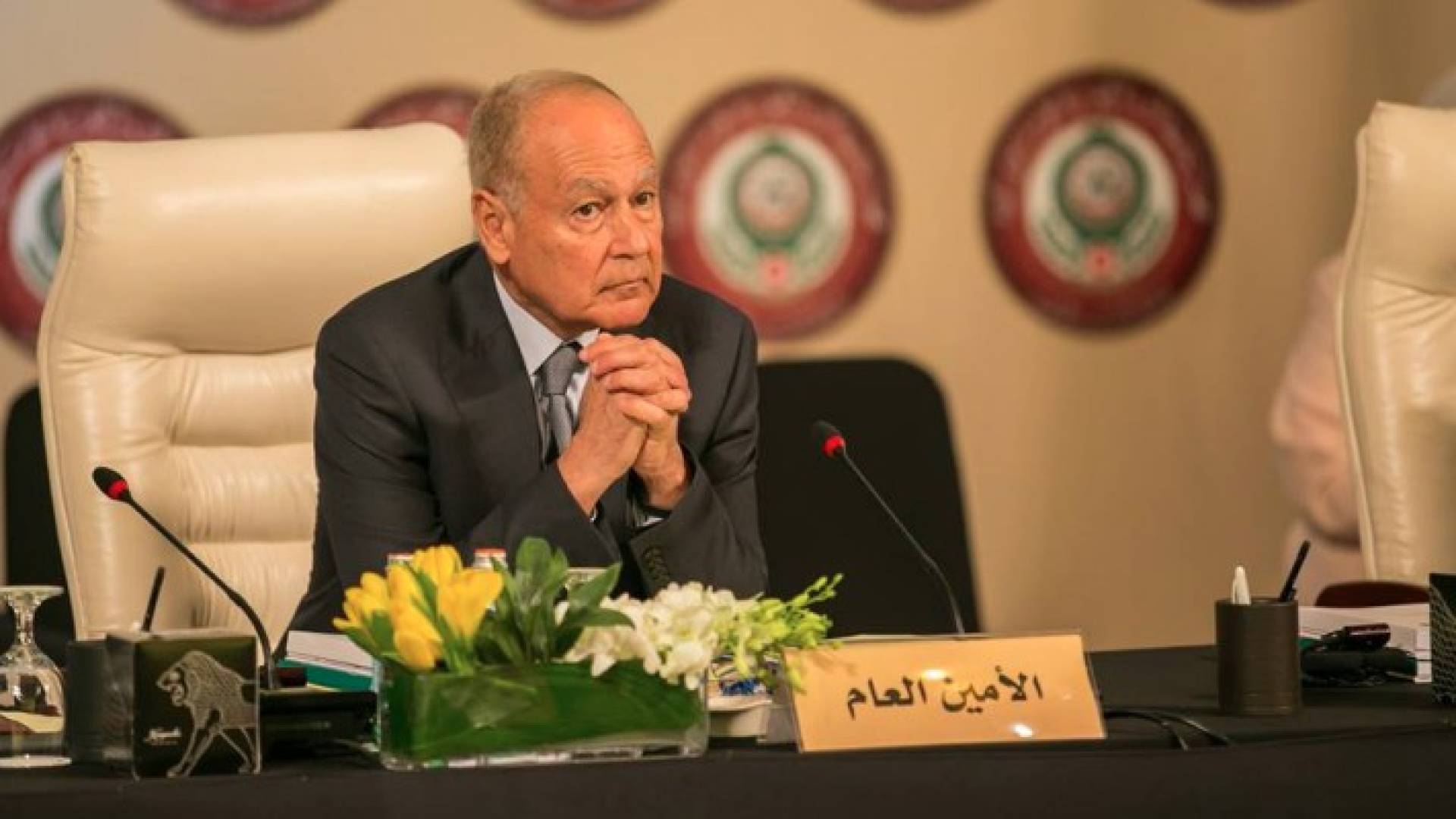 الأمين العام للجامعة العربية أحمد أبو الغيط