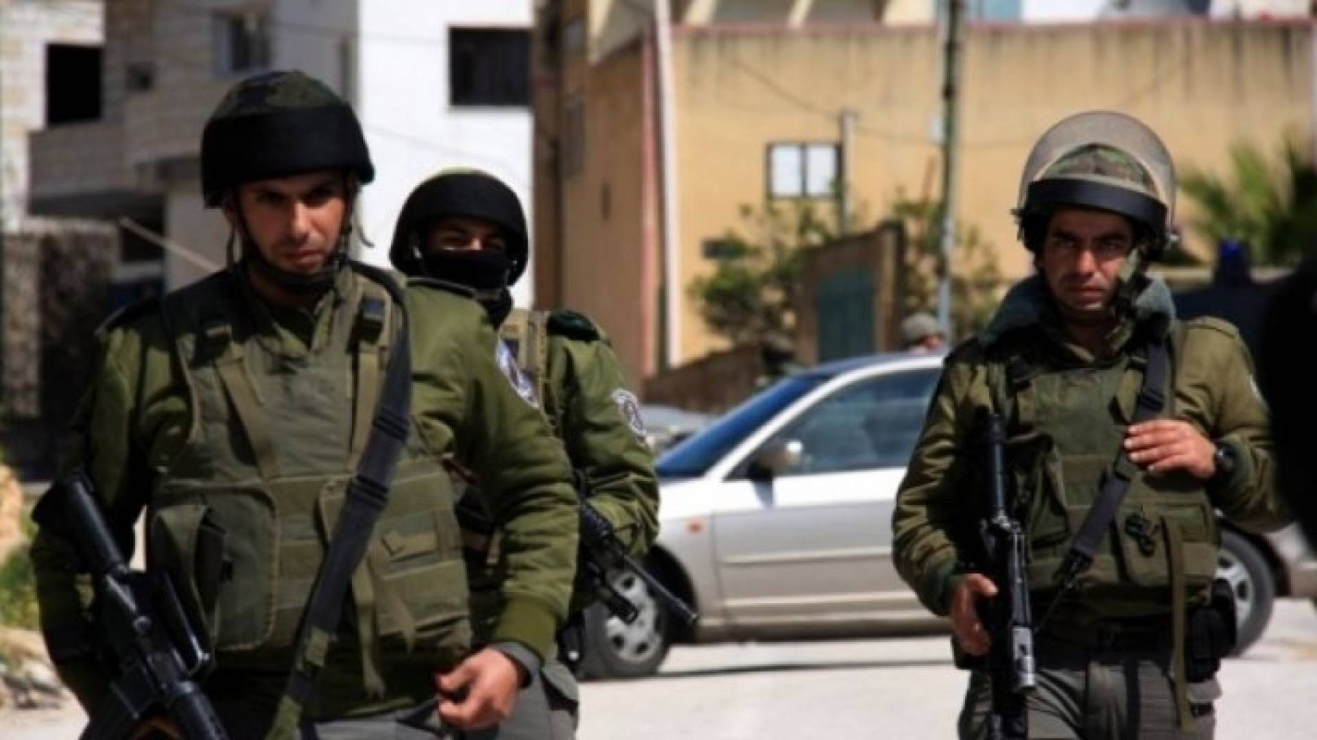 ارشيفية