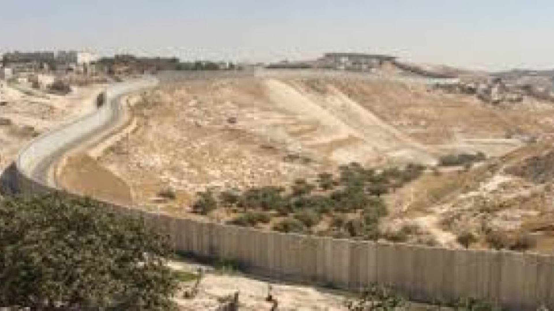 ارشيفية
