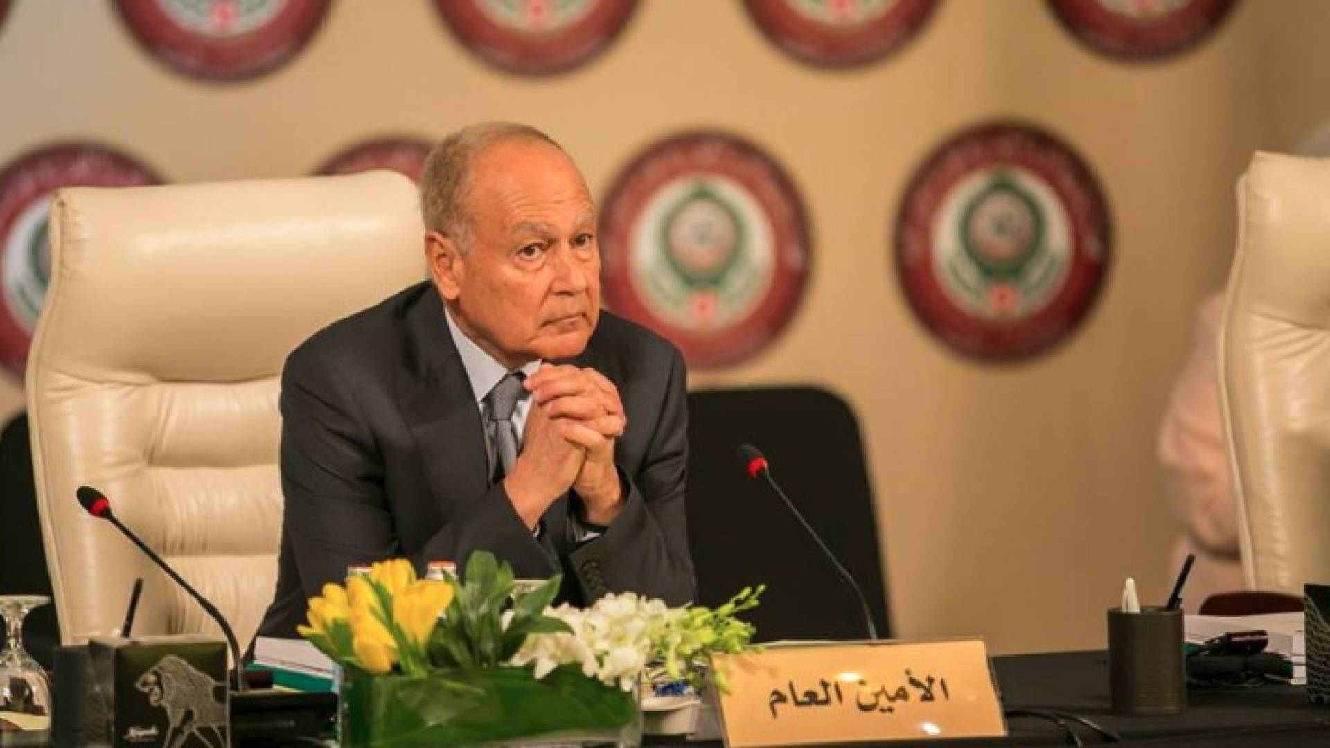 الامين العام لجامعة الدول العربية أحمد أبو الغيط