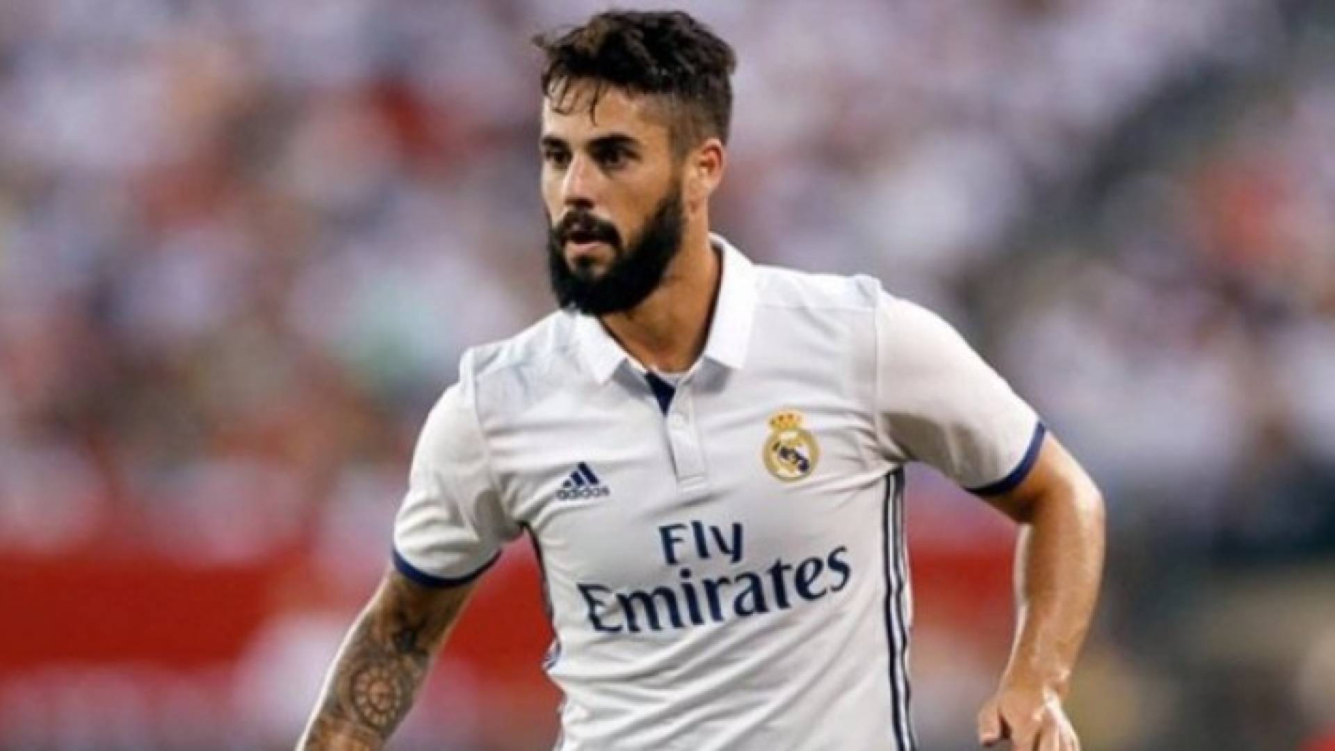 ارشيفية 