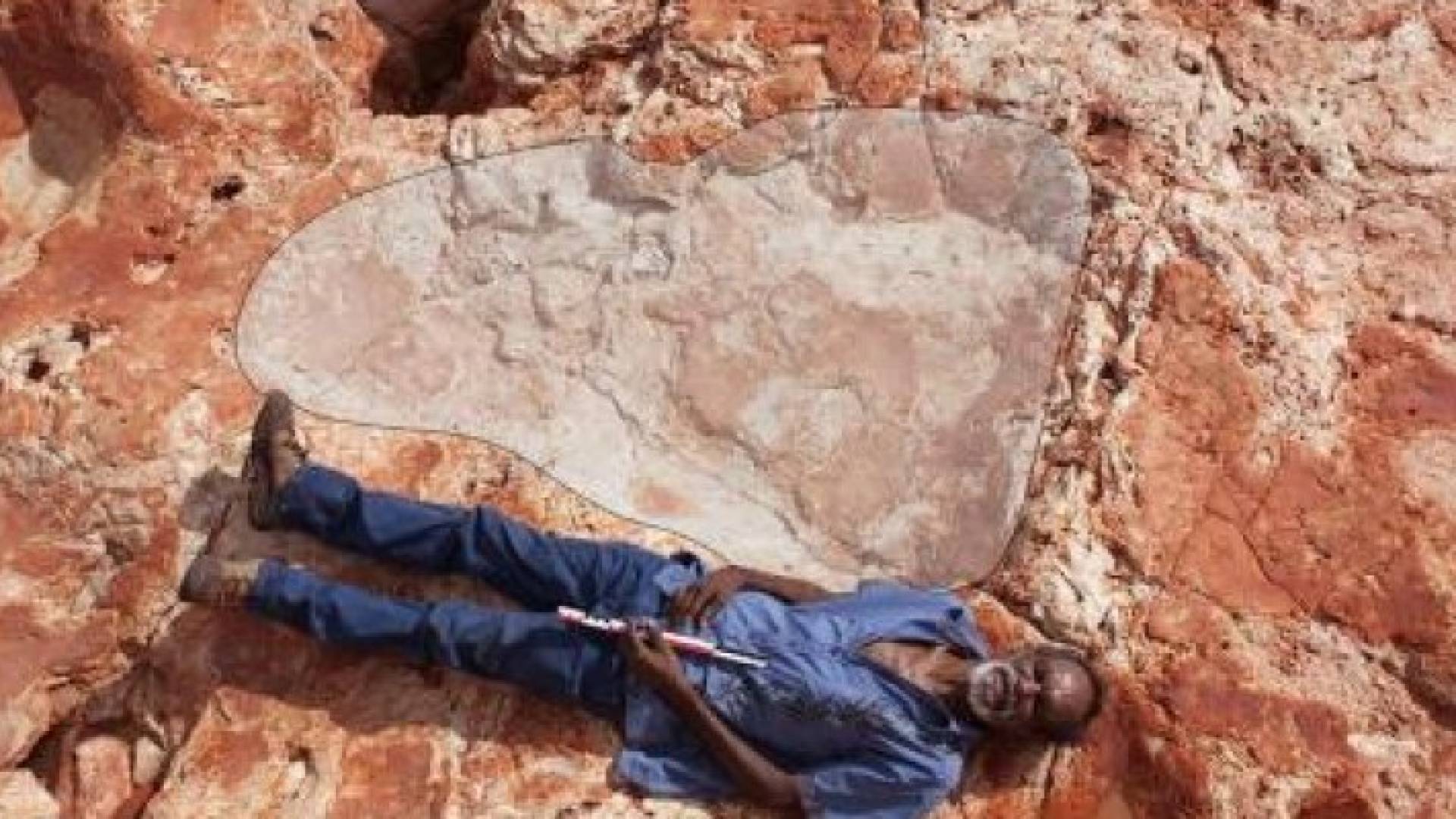 علماء استراليون يعثرون على أكبر أثر لقدم ديناصور في العالم