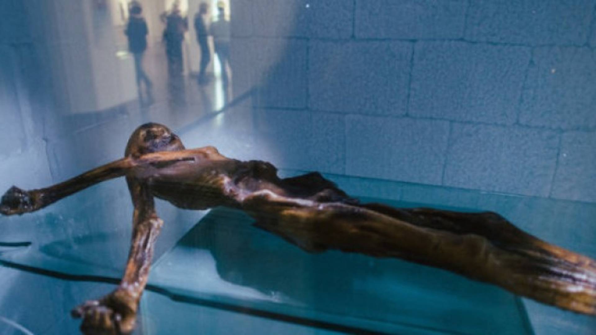 اغتالوه قبل 3300 عام فاكتشفوا أحفاده في النمسا وسويسرا وإيطاليا