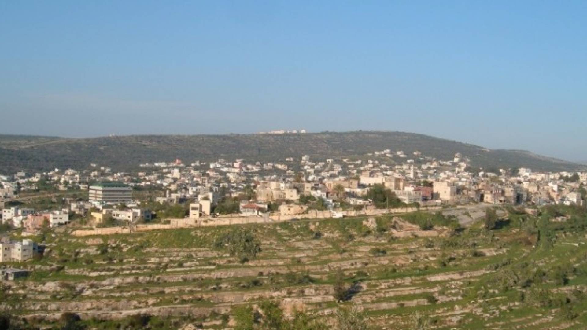 ارشيفية