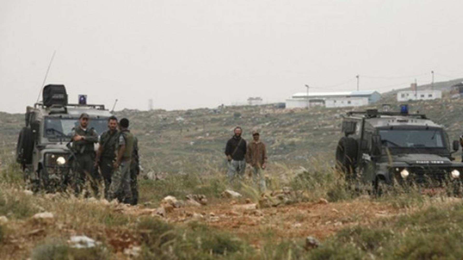 ارشيفية